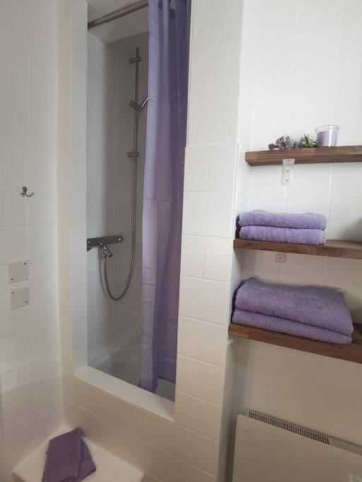 1 Bedroom Apartment in Capolago