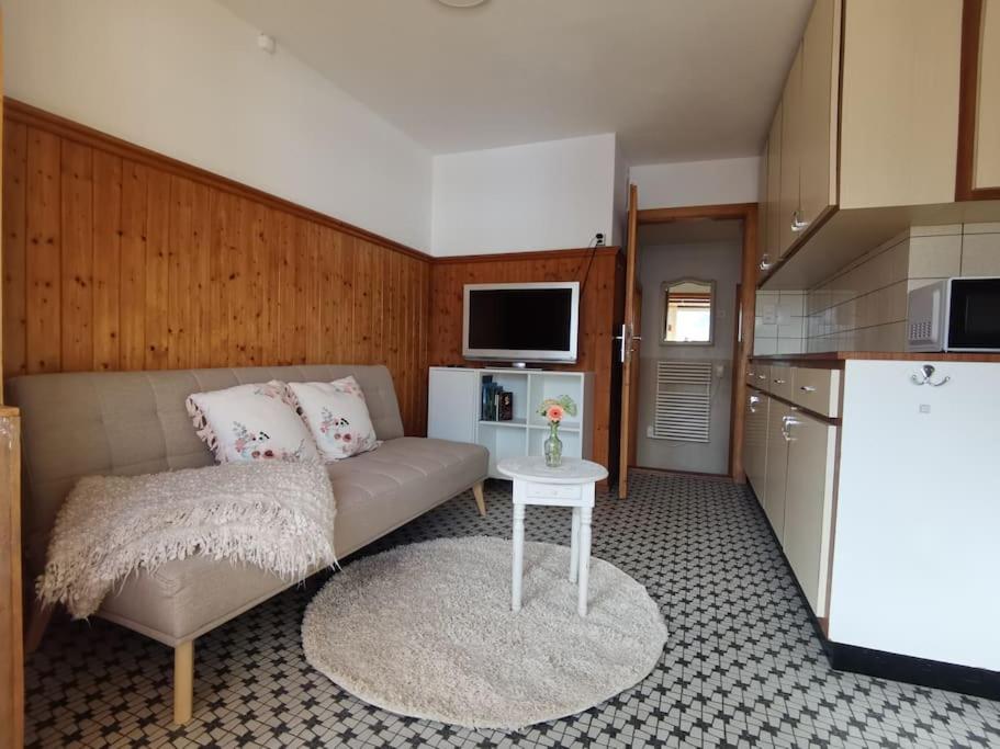 1 Bedroom Apartment in Capolago