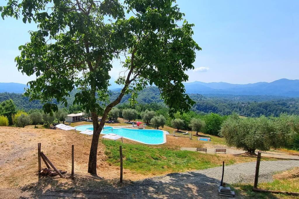Appartamento La Mimosa photo 4