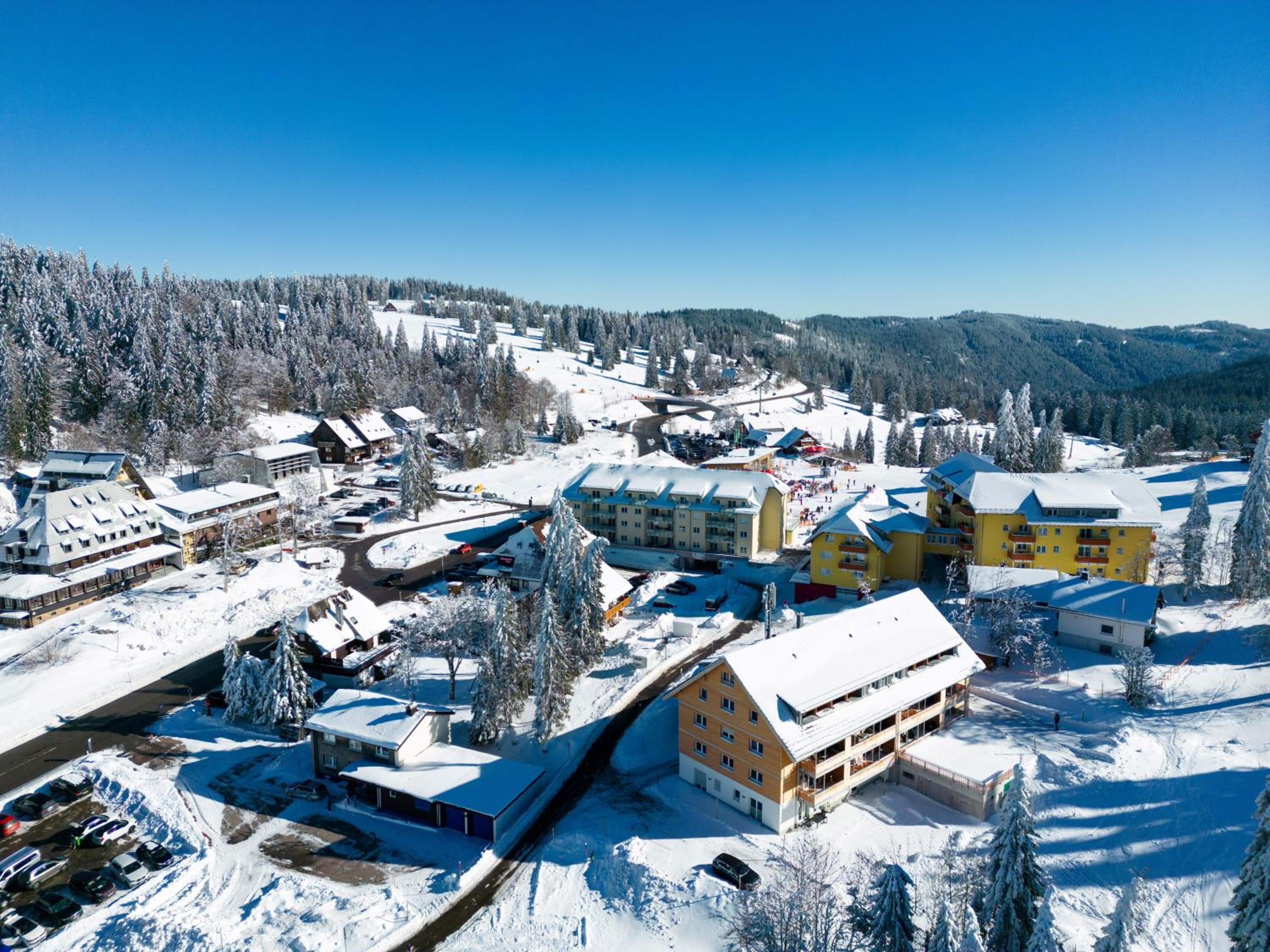 Wiesenquell Apartment Feldberg