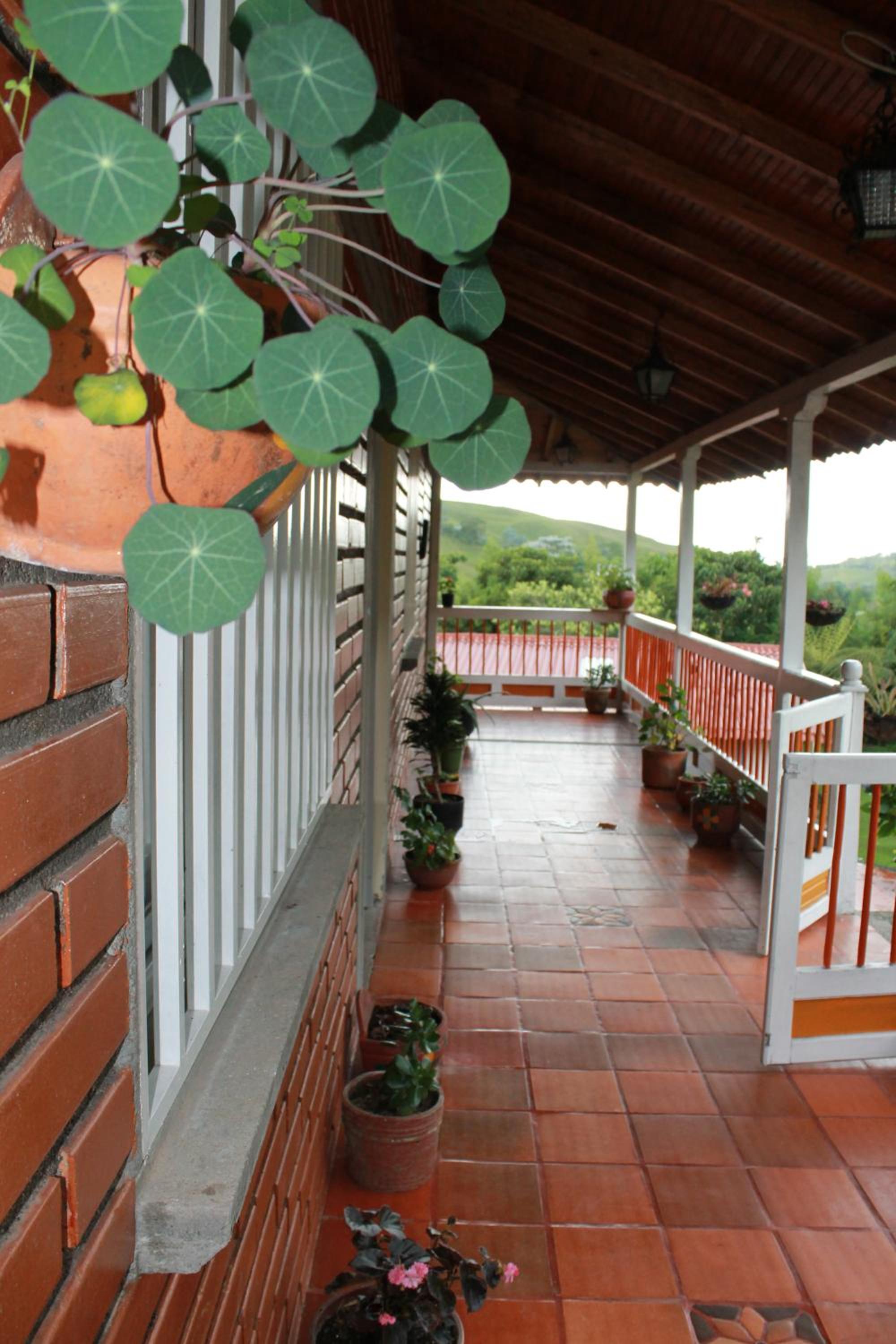 La Gaviota BnB