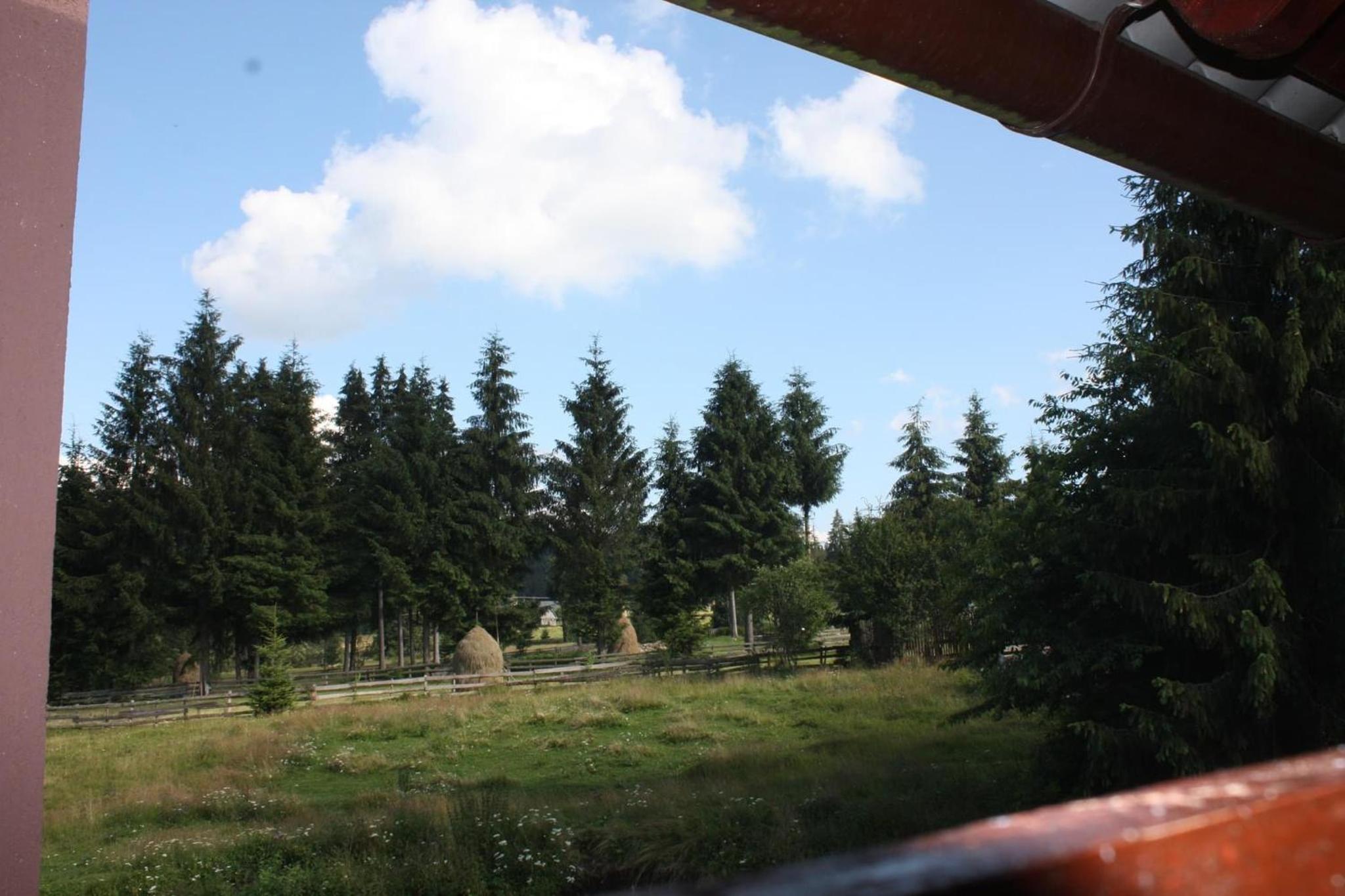 Pensiunea Valea Galbenei view 2
