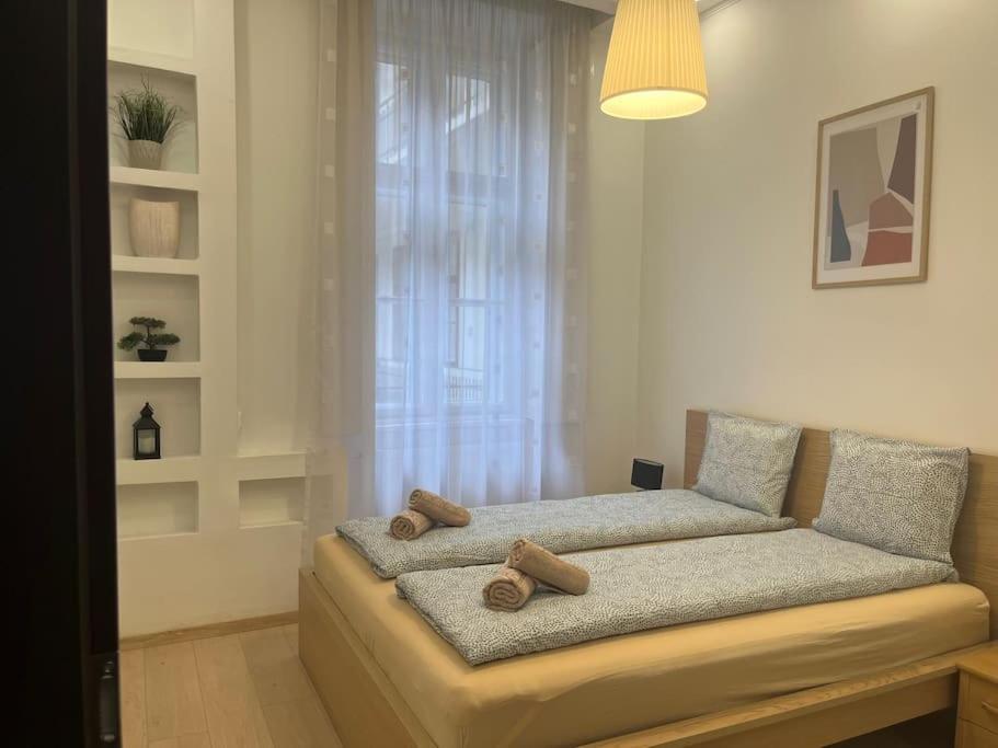 Széchenyi Renovated 2BR at Danube river view 2