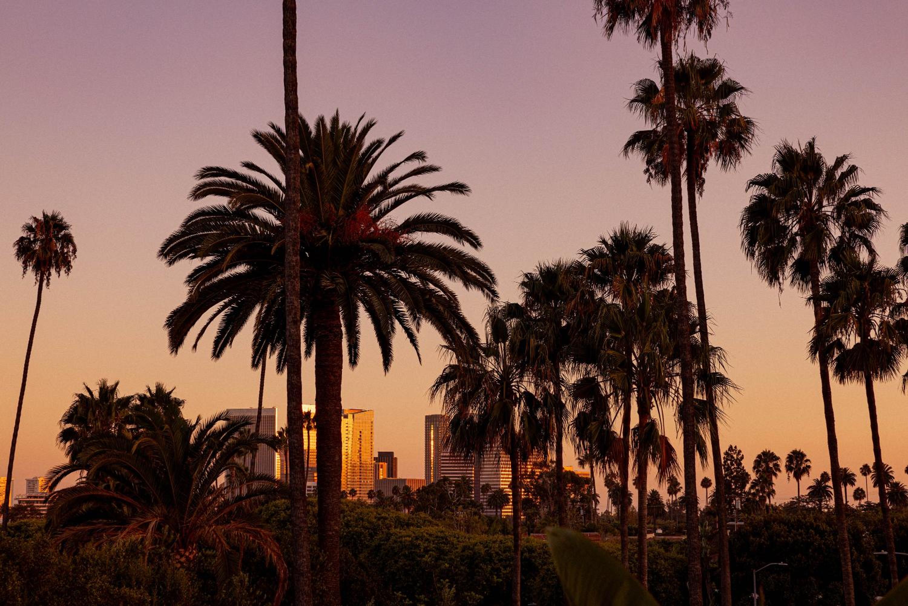 The Beverly Hills Hotel - Dorchester Collection