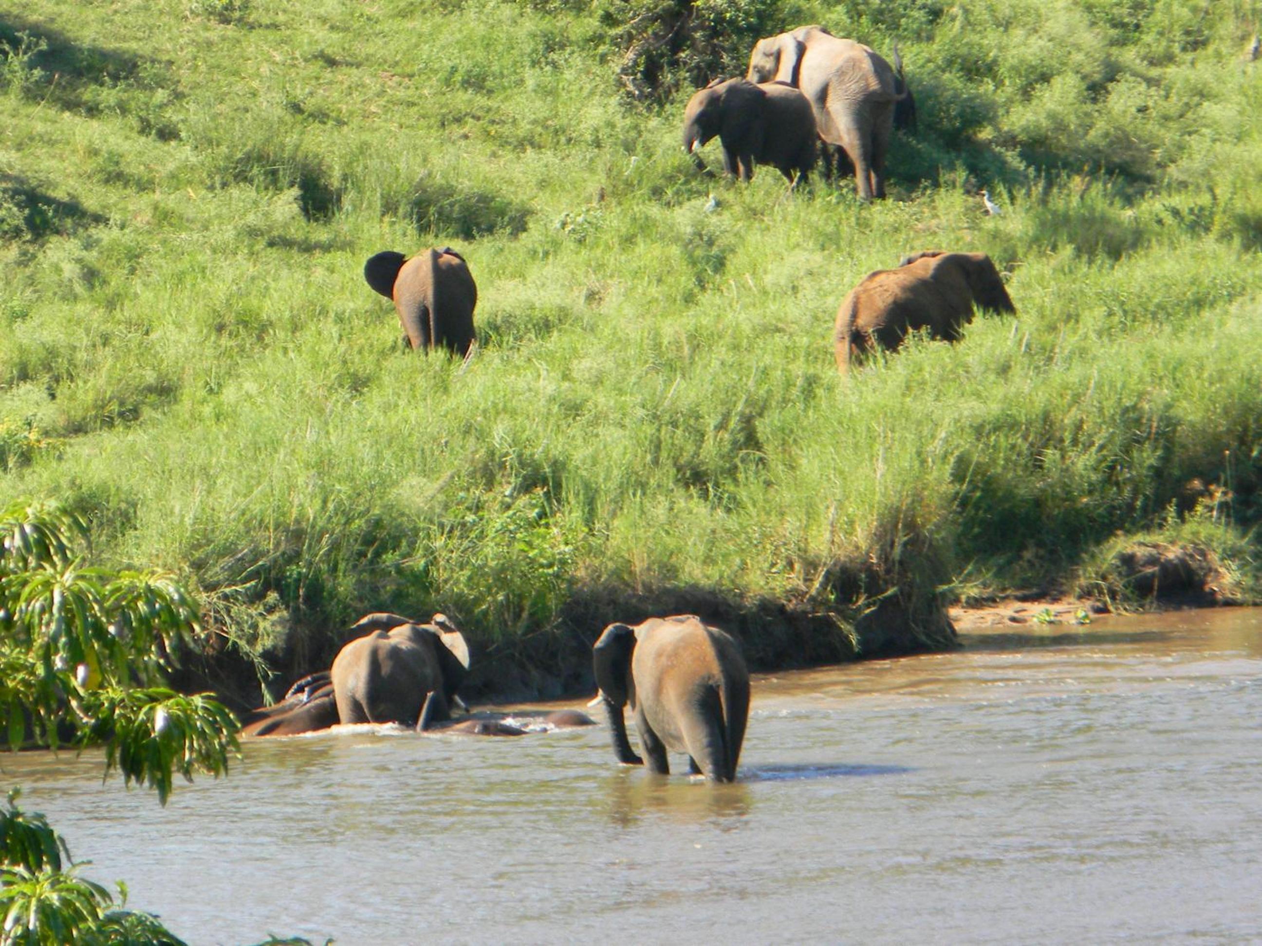 Kruger View Chalets