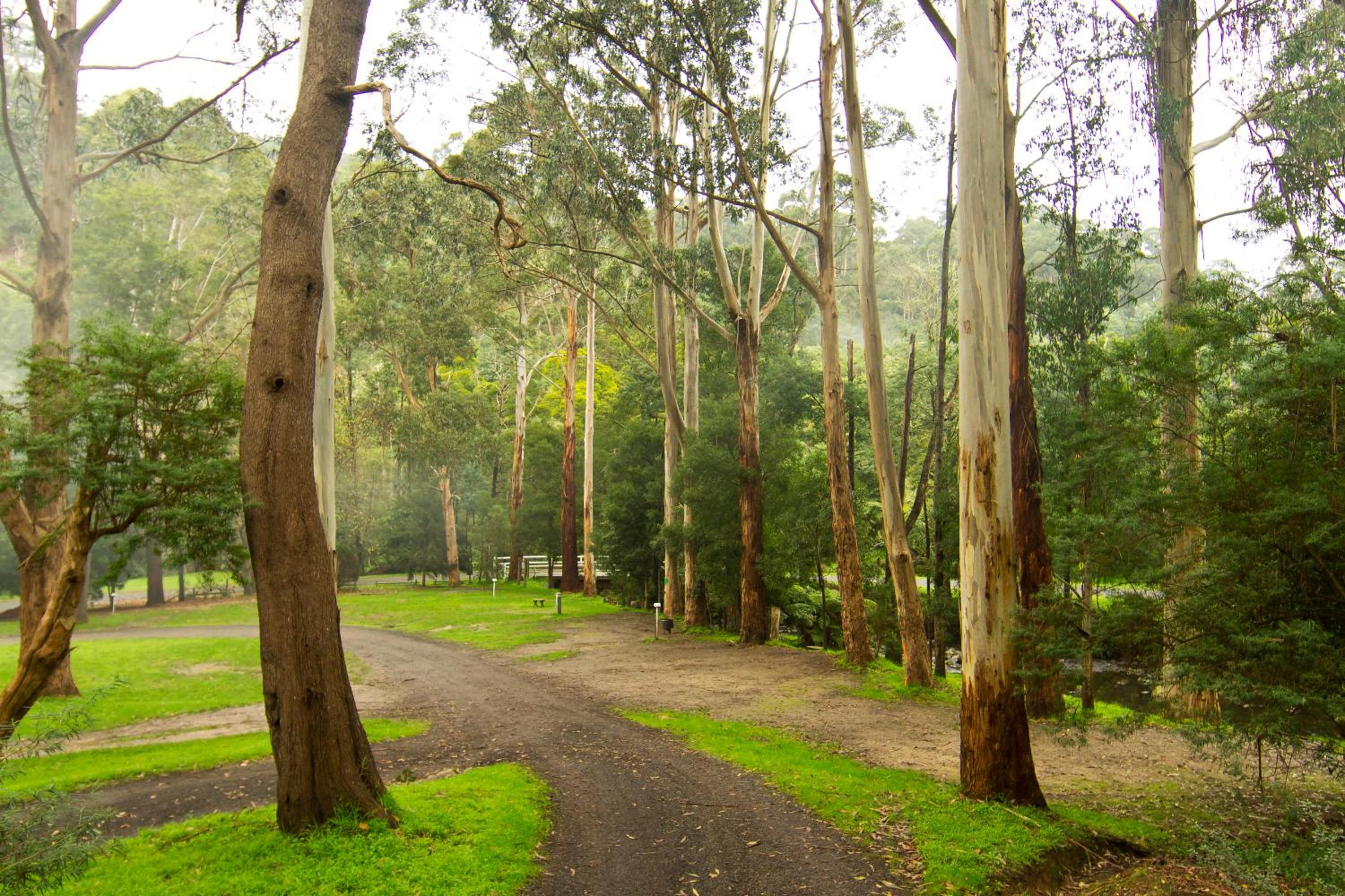 Tarra Valley Retreat