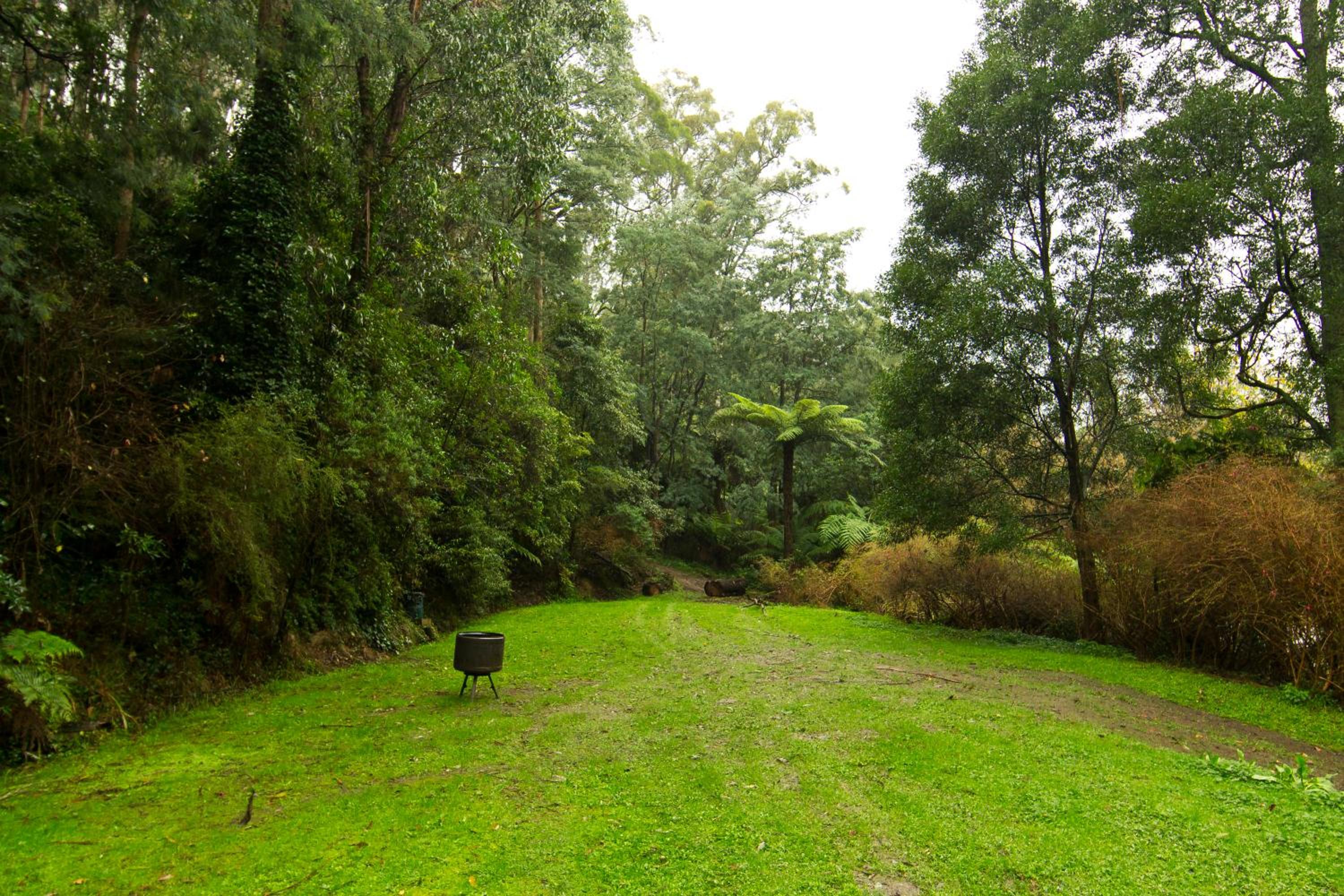 Tarra Valley Retreat