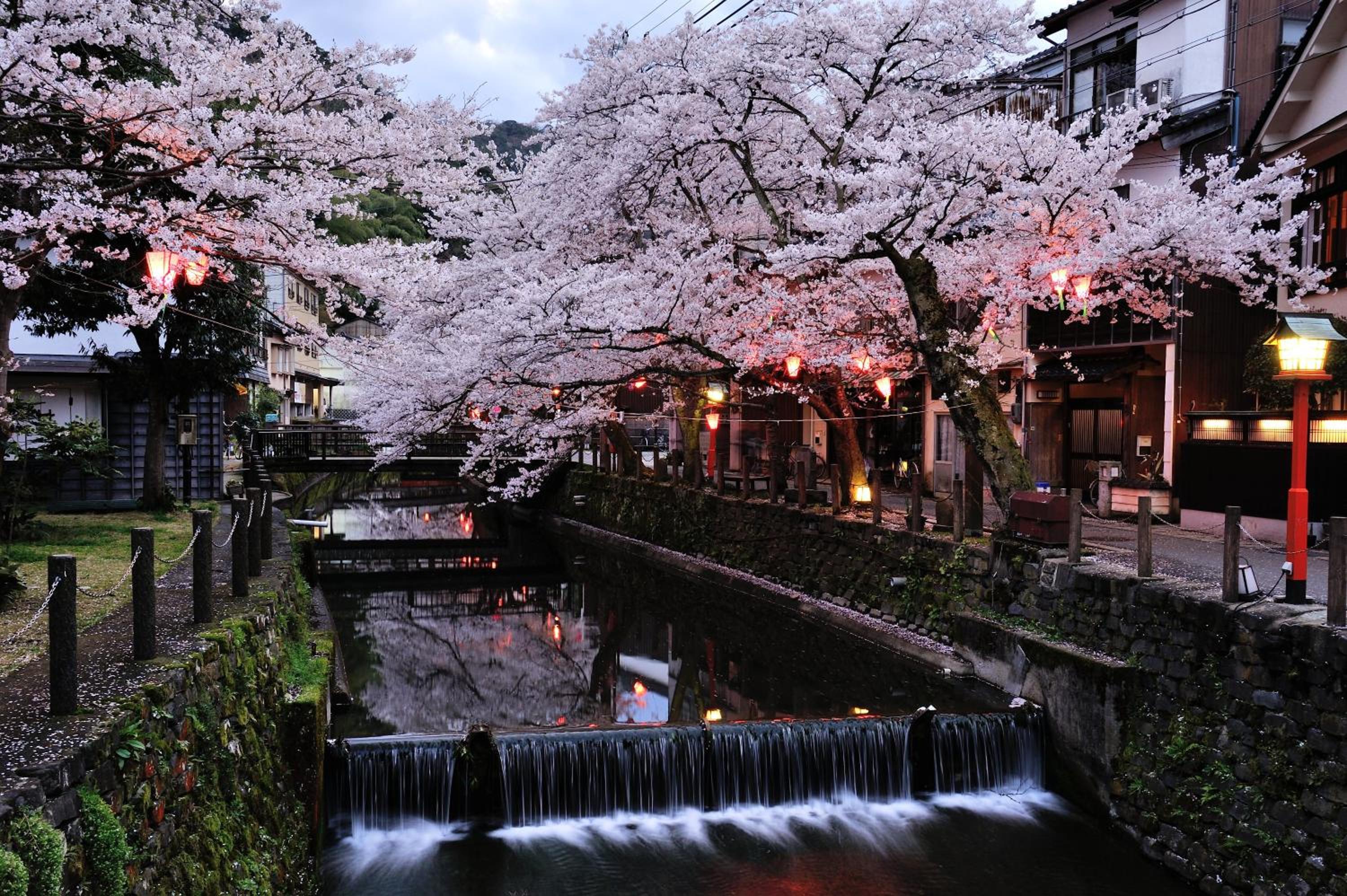 Kinosaki Yamamotoya