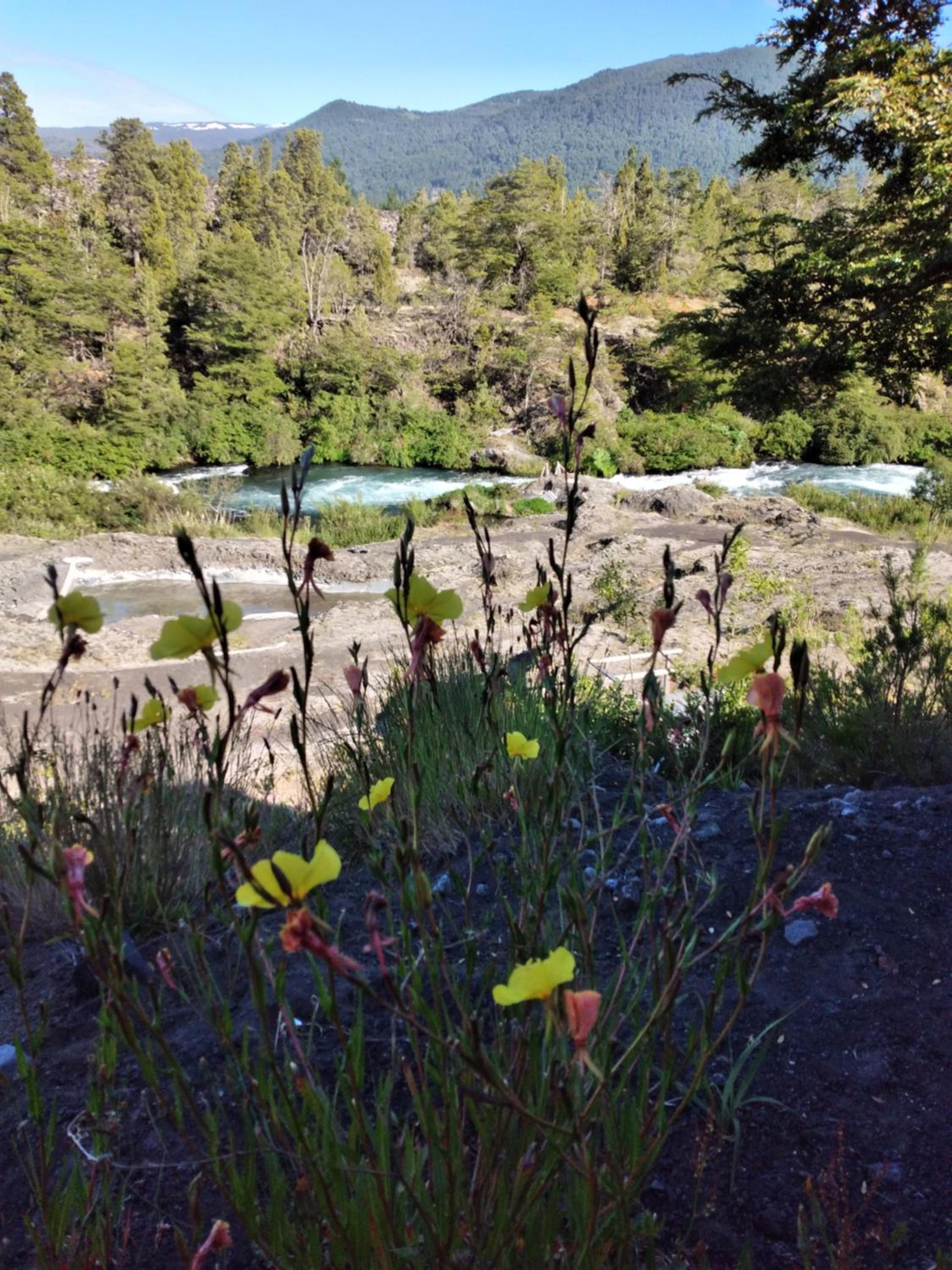 Cabañas Lodge Patagonia truful view 2