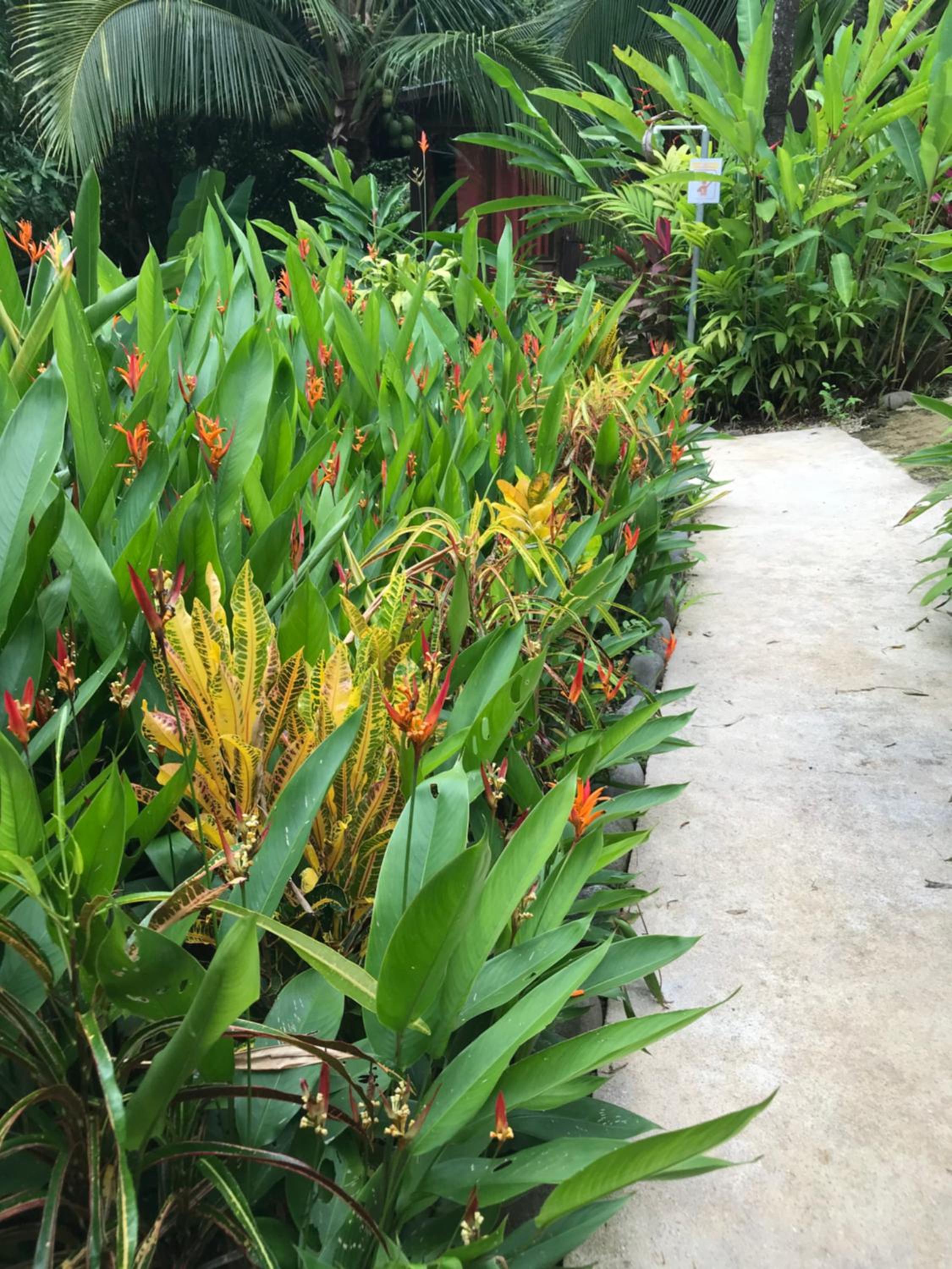 FLOR DE PARAISO BUNGALOWS