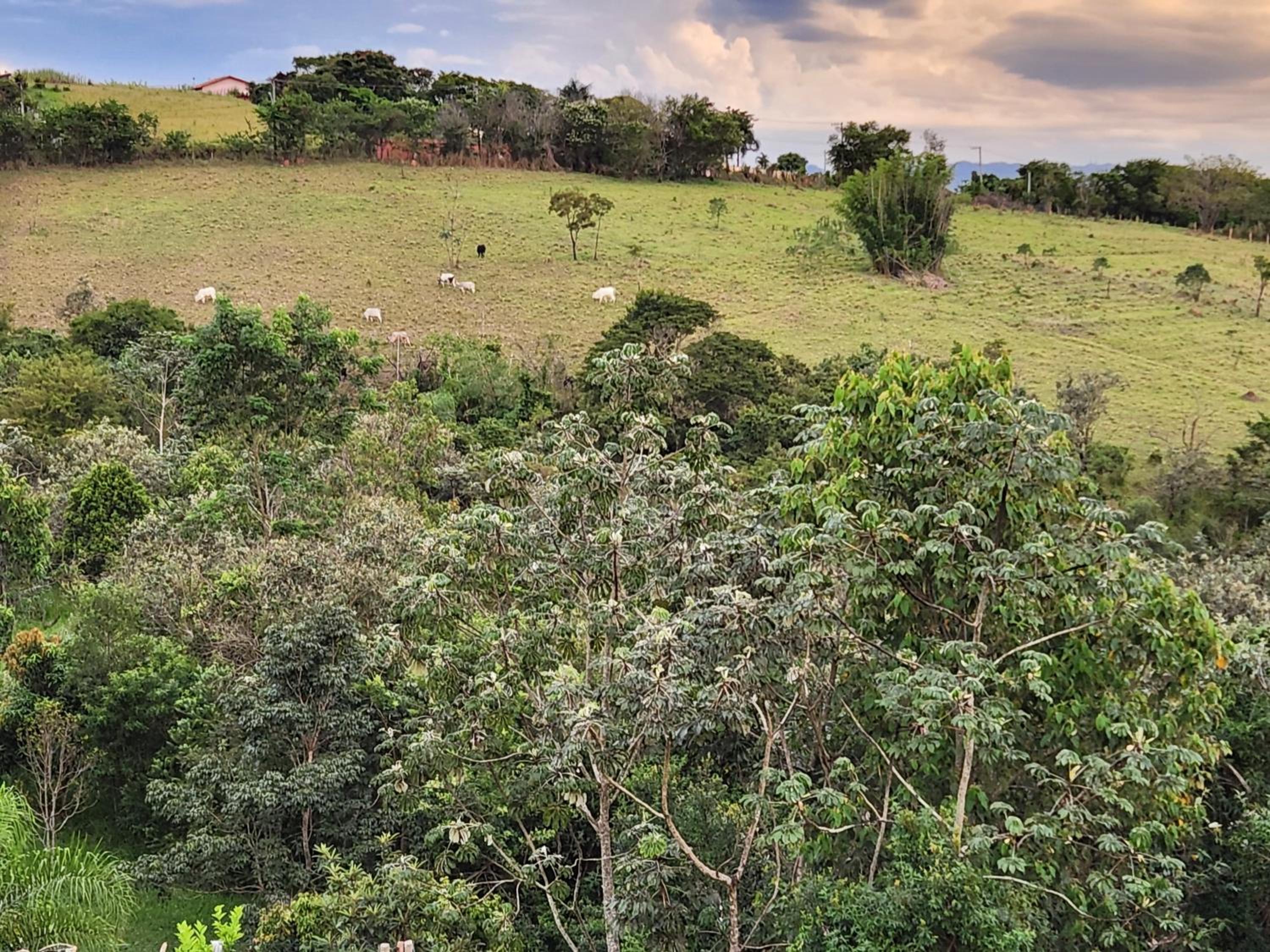 Casaazulvaleparaiba