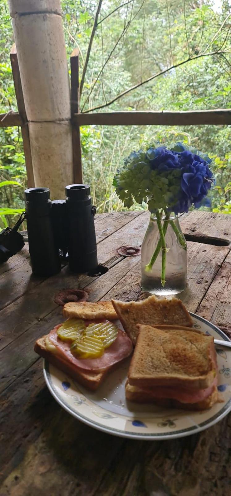 Reserva y Estancia Robles Mimosos Lodge
