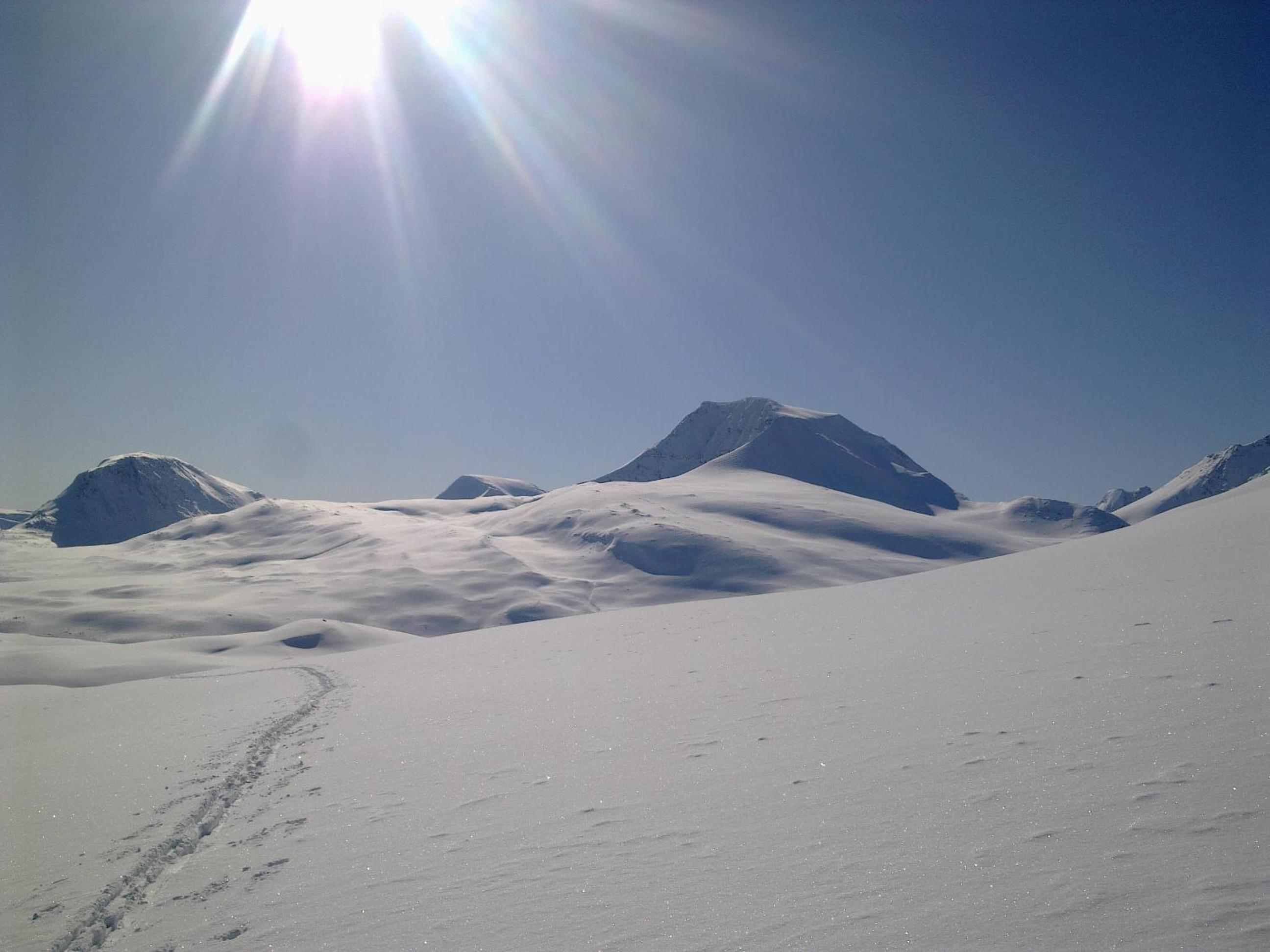 Lyngen Apartments