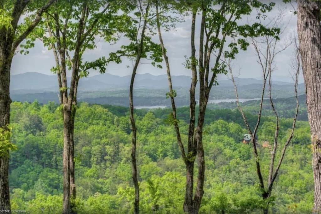 Sky High Lodge - Blue Ridge view 3