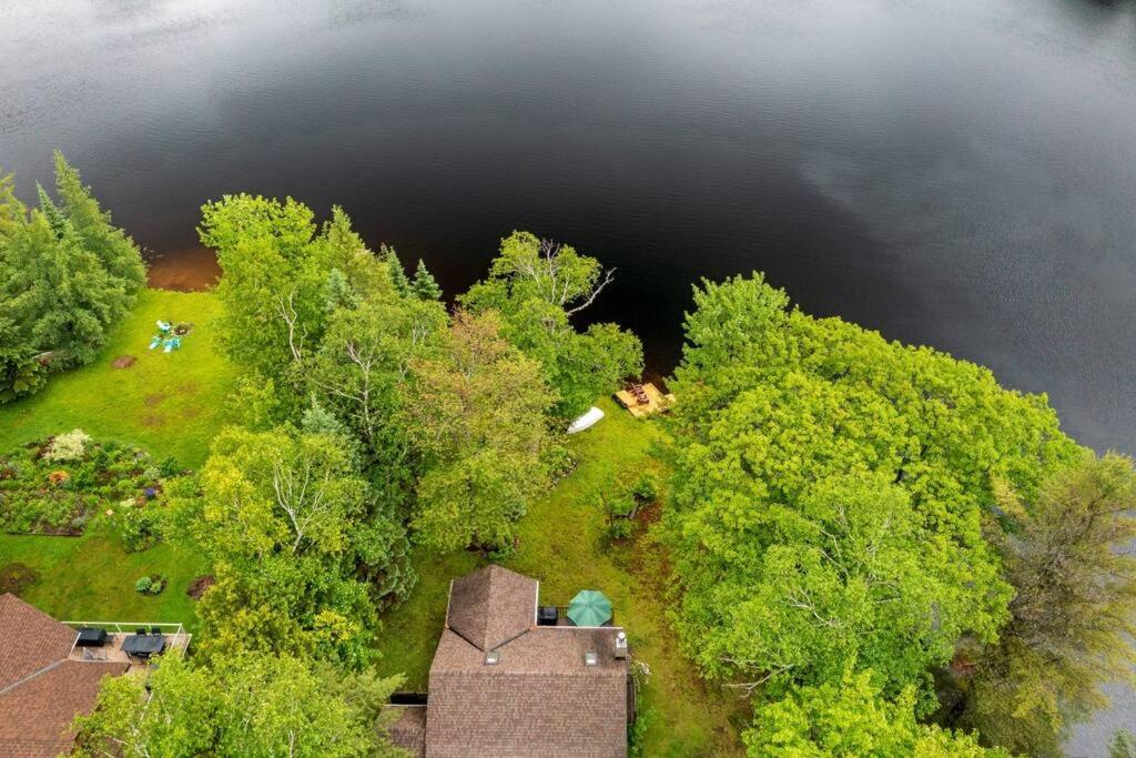 Huntsville Vacations - Bear Essentials Hideaway - Property Image 4