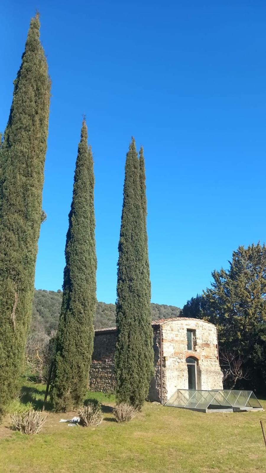 Villa Pieve Vecchia photo 4