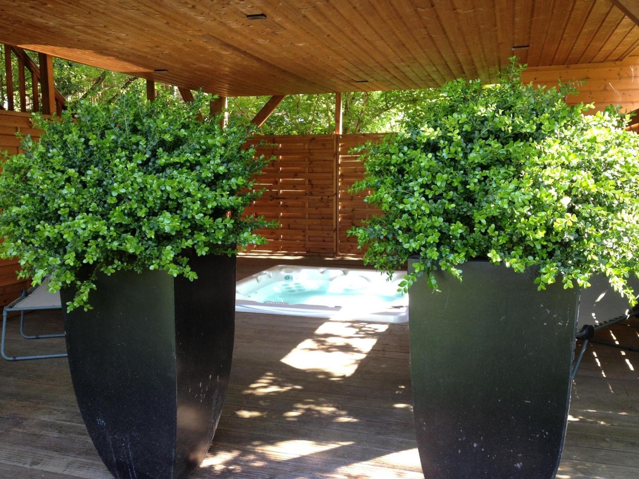 Manoir Du Parc (Adults only)