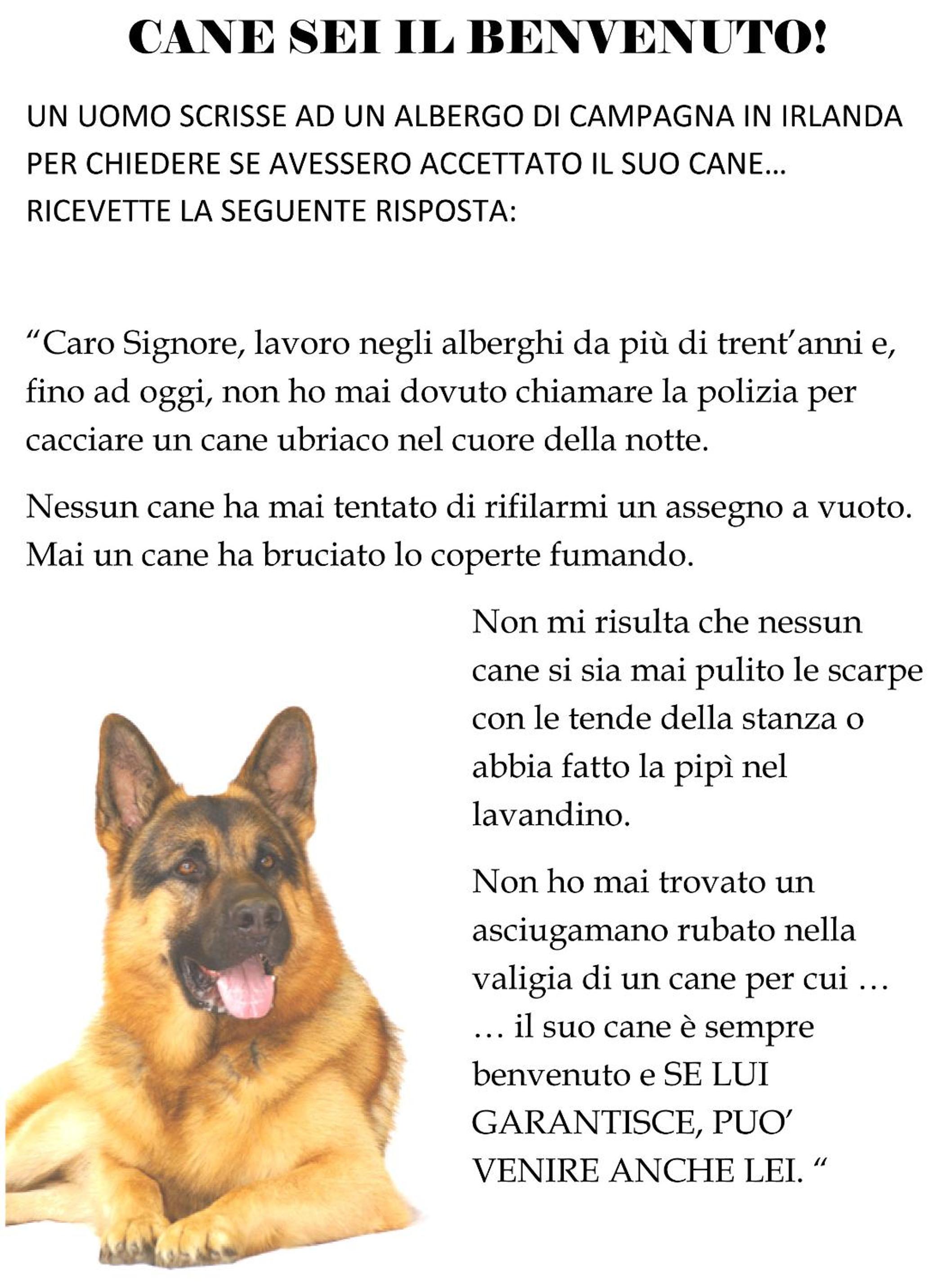 Agriturismoteo photo 3