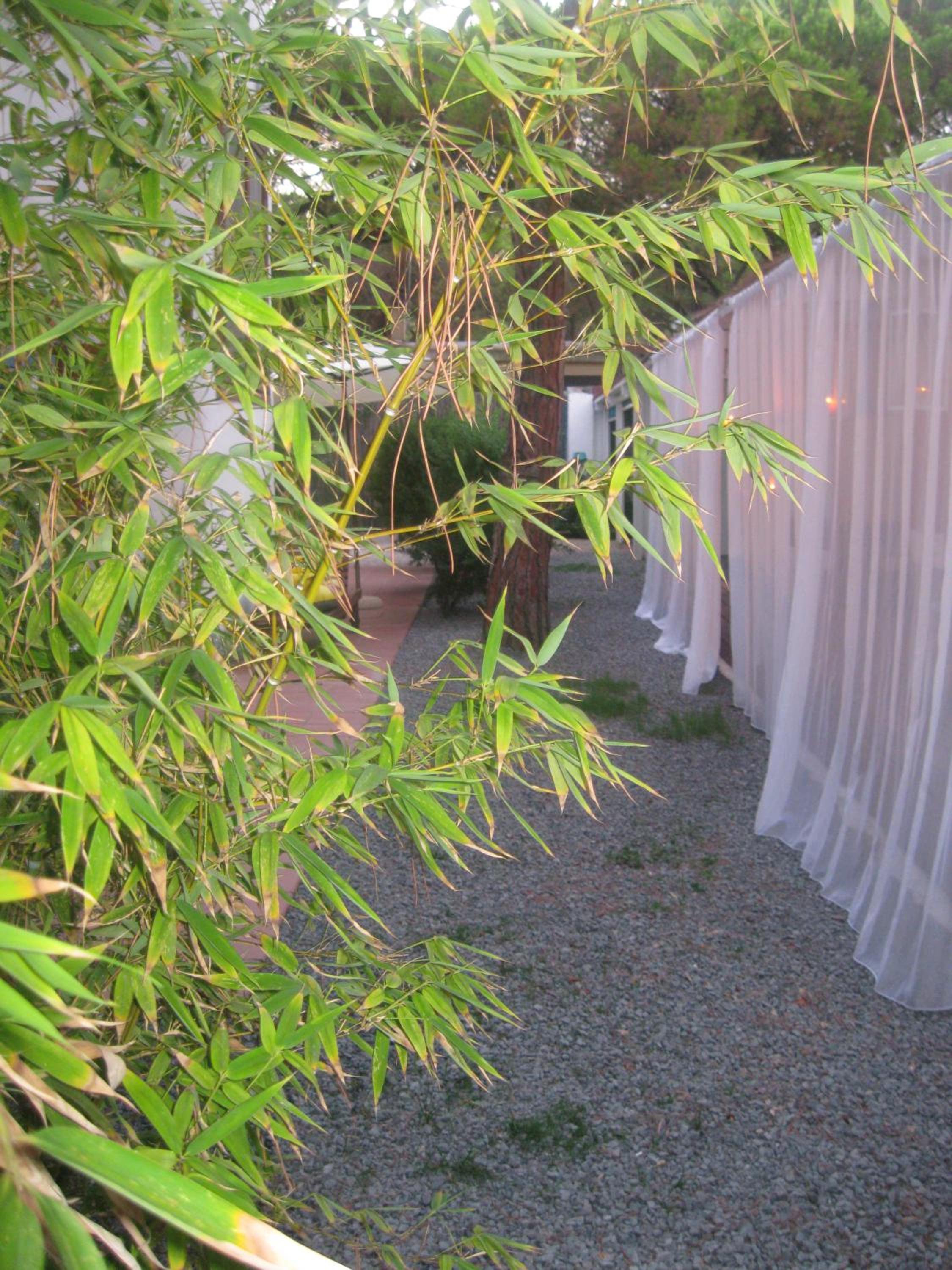 Photo 53