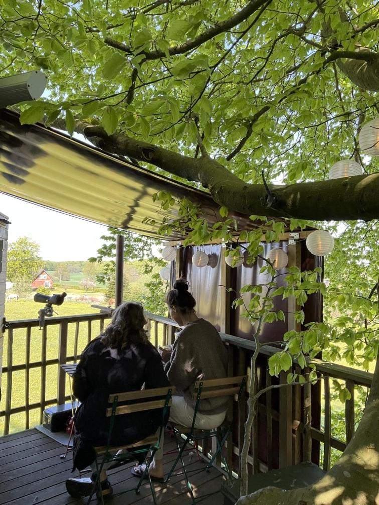 Treehouse escape