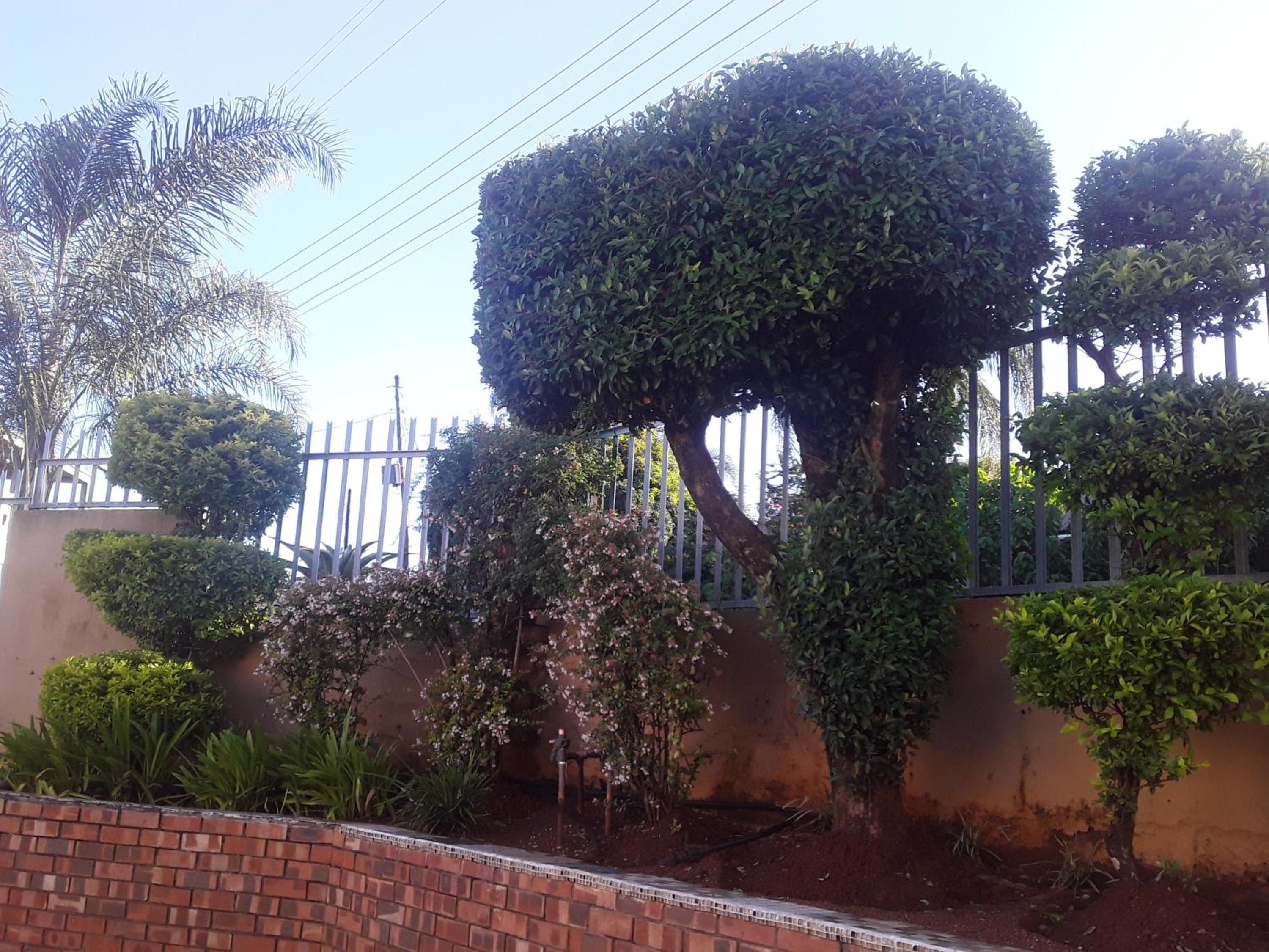 Vuya Nathi Bed and Breakfast, photo 41