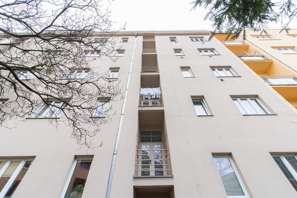 Cozy basement flat, SkyShowtime, 3 minutes to center