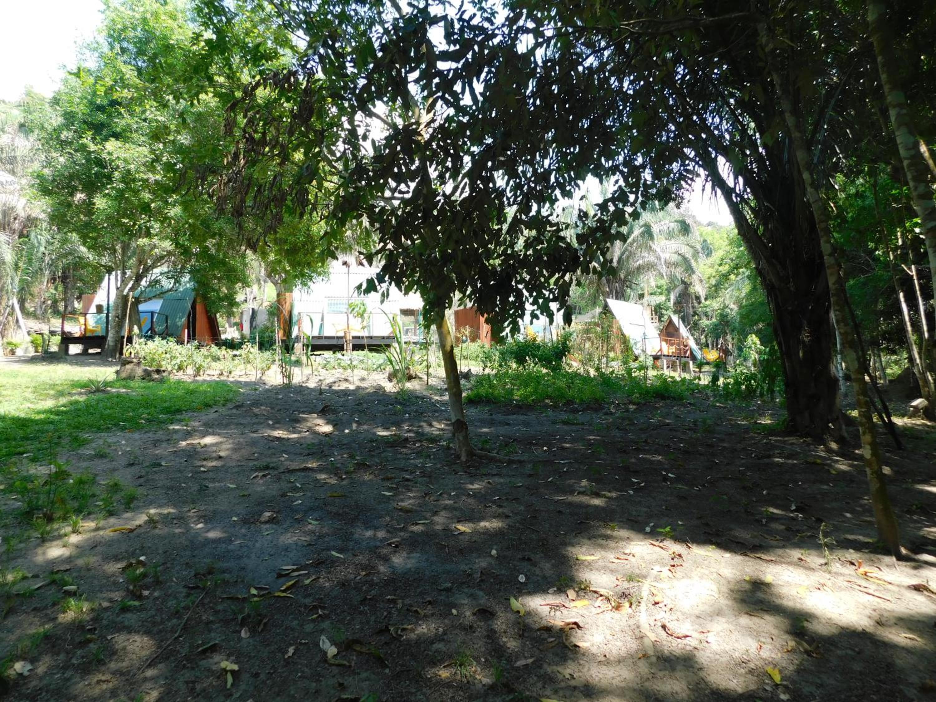 Sierra Jungla