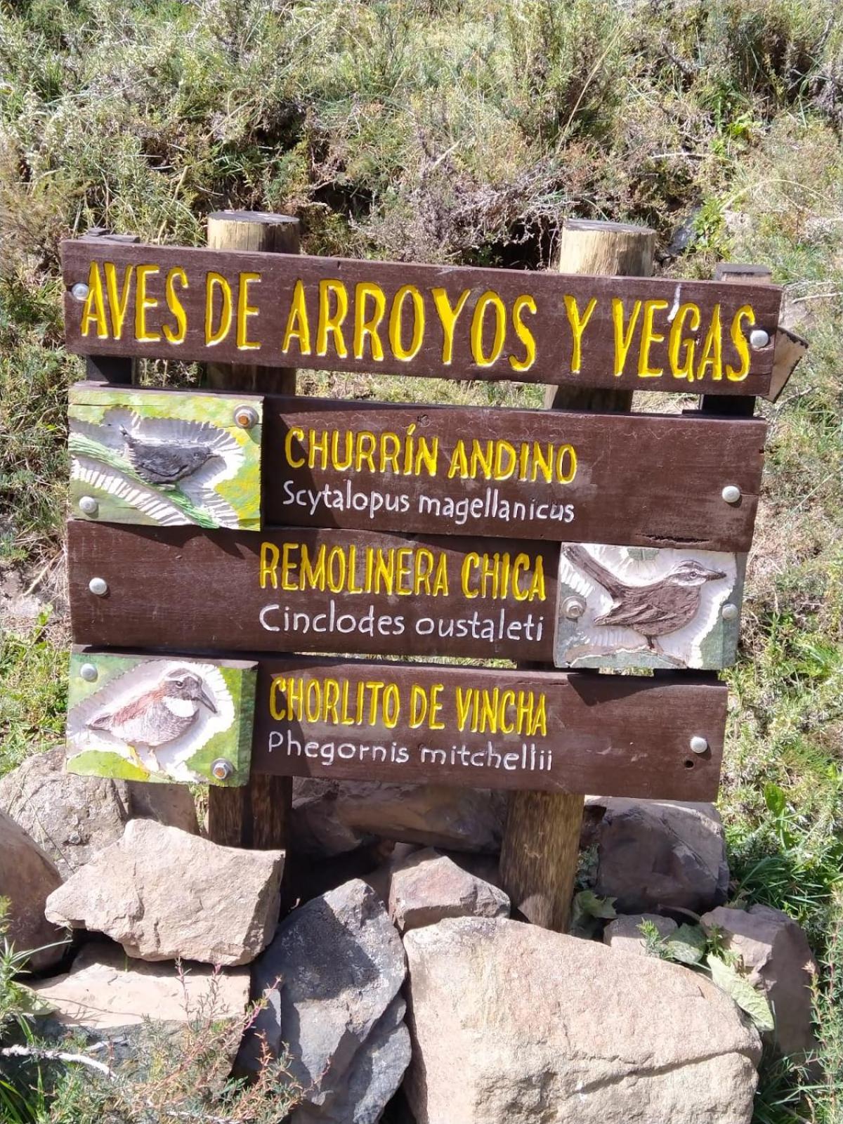 Esencia Cabaña