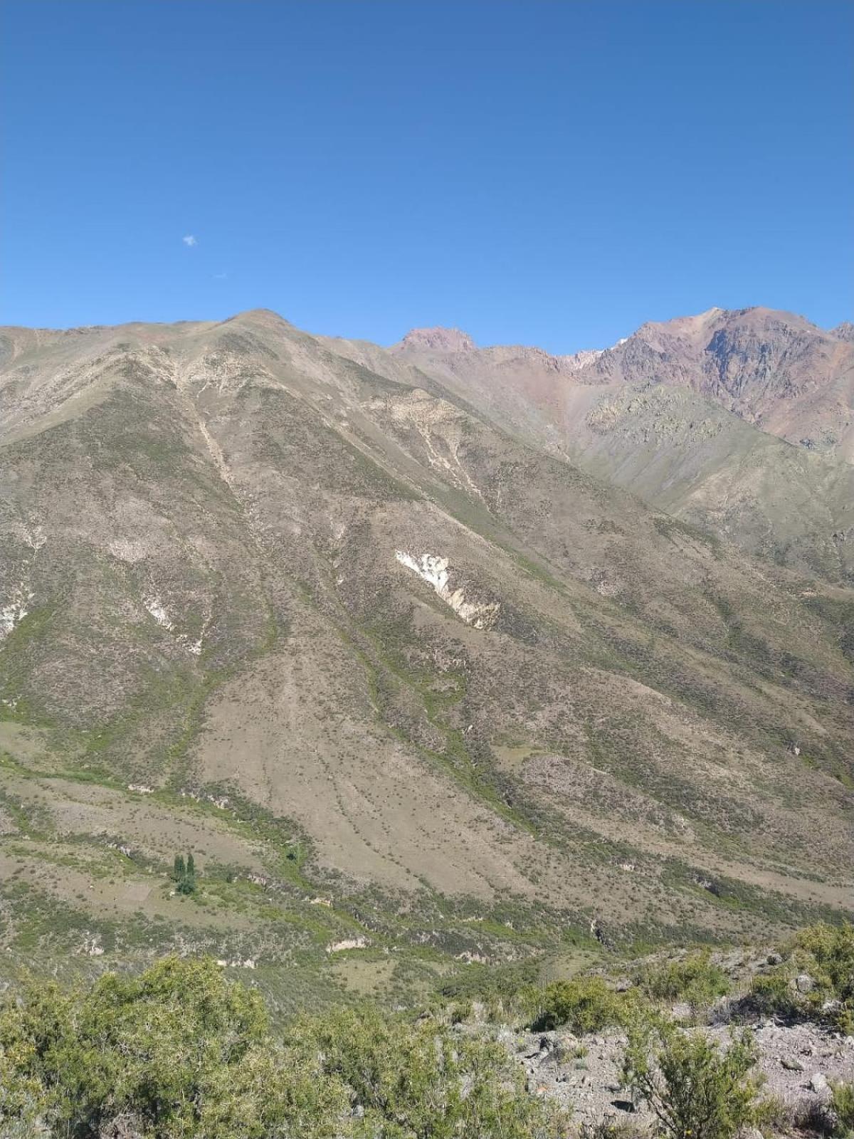 Esencia Cabaña