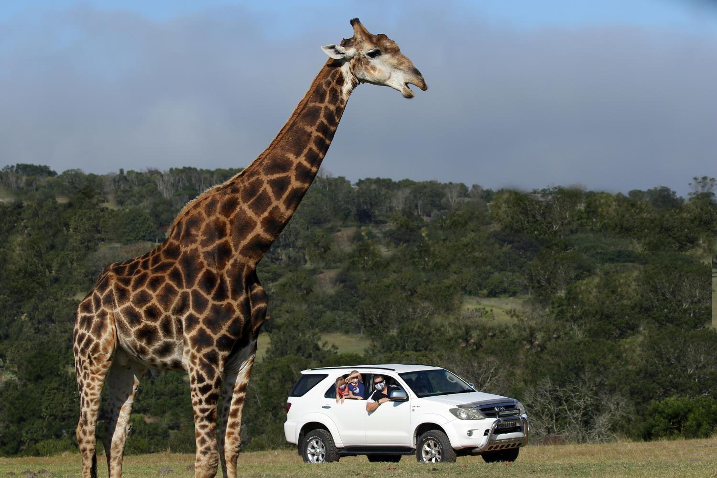 Kragga Kamma Game Park