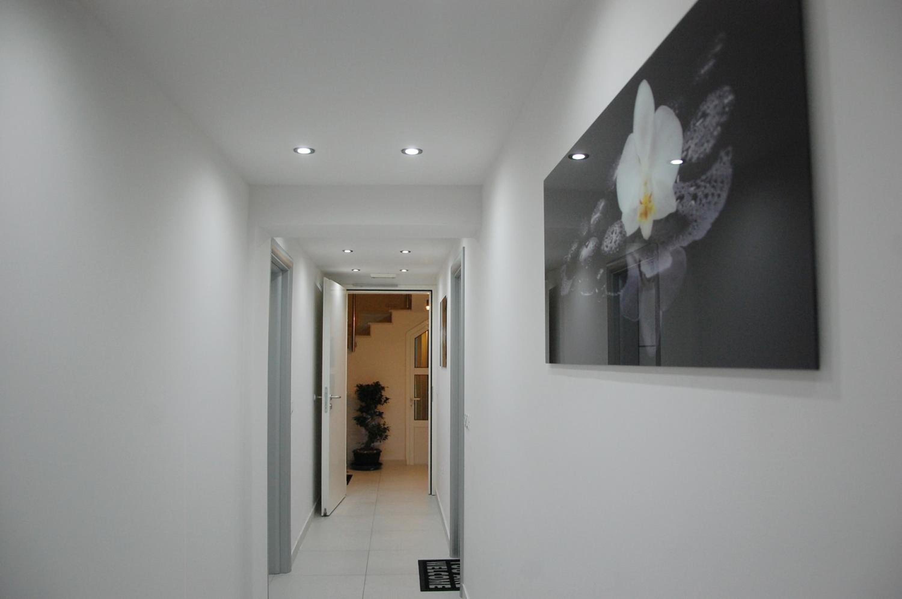 Photo 51
