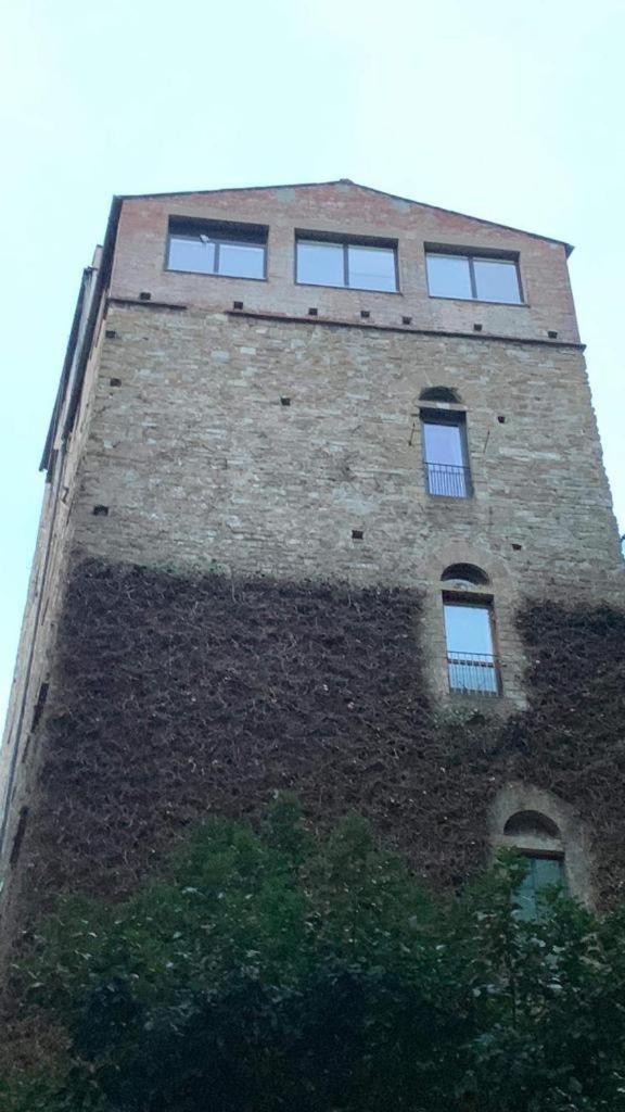 The secret window on the river Arno