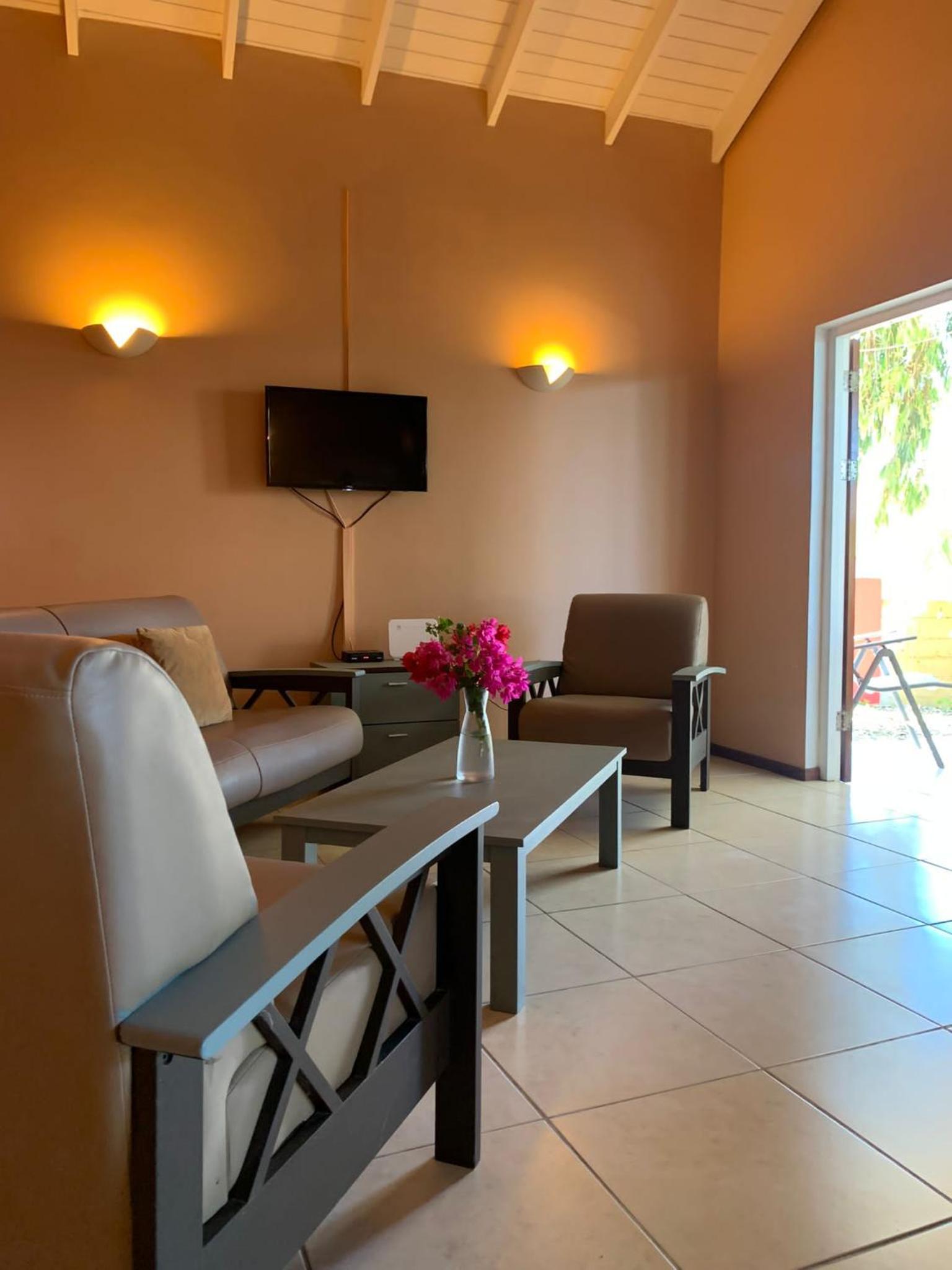 Centrally located spacious apartment