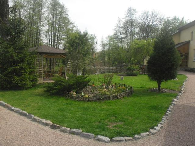 Photo 6