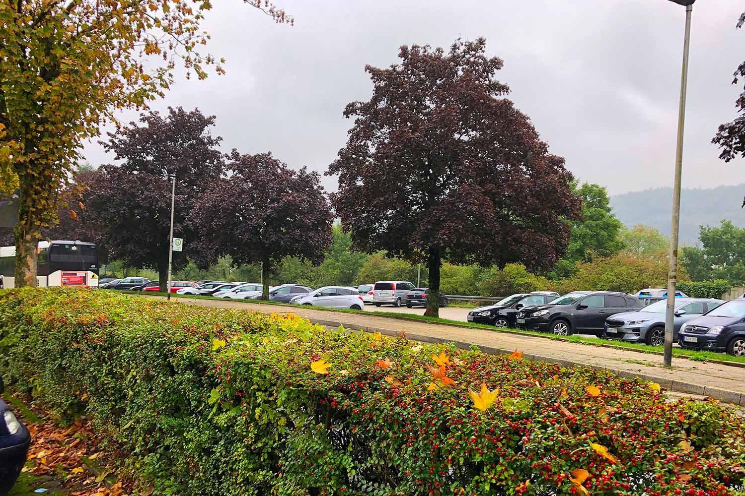 parking