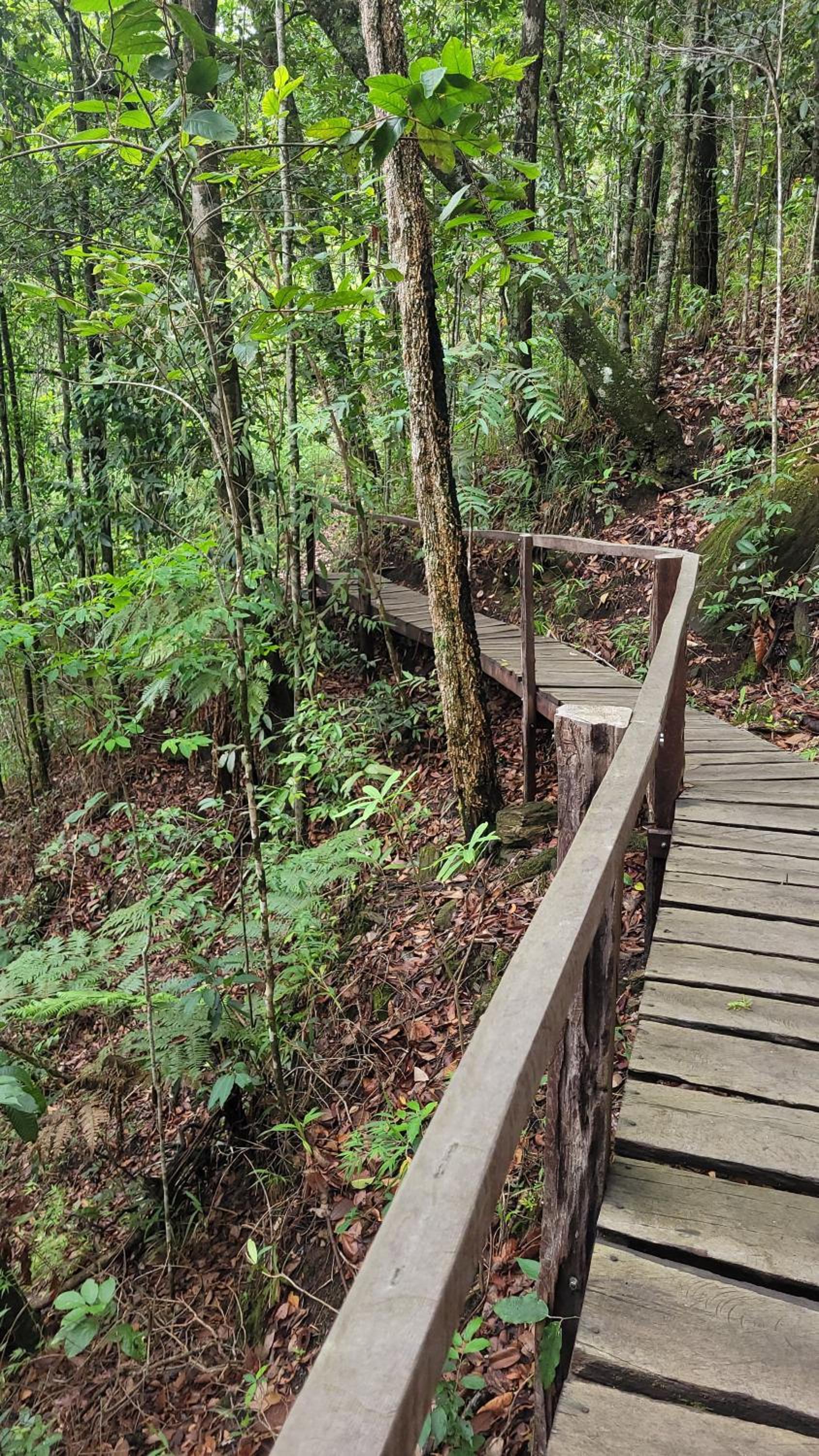 Segredo dos Pireneus