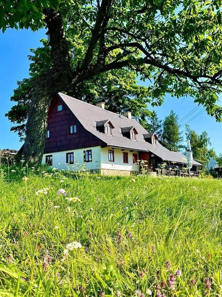 Chalupa u kapličky Říčky v Orlických horách
