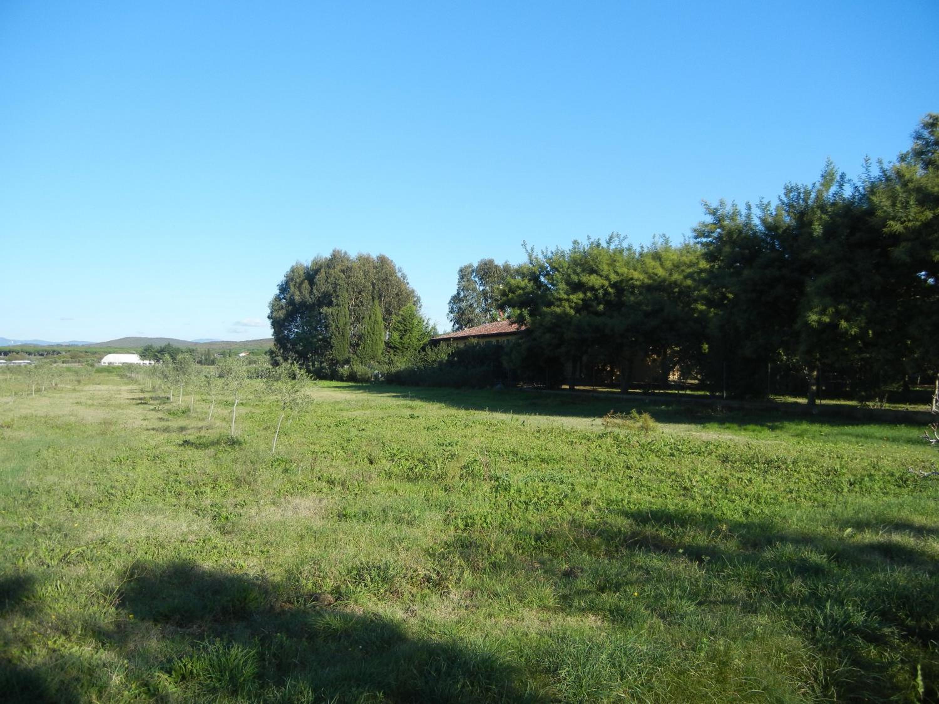 Azienda Agrituristica Le Betulle