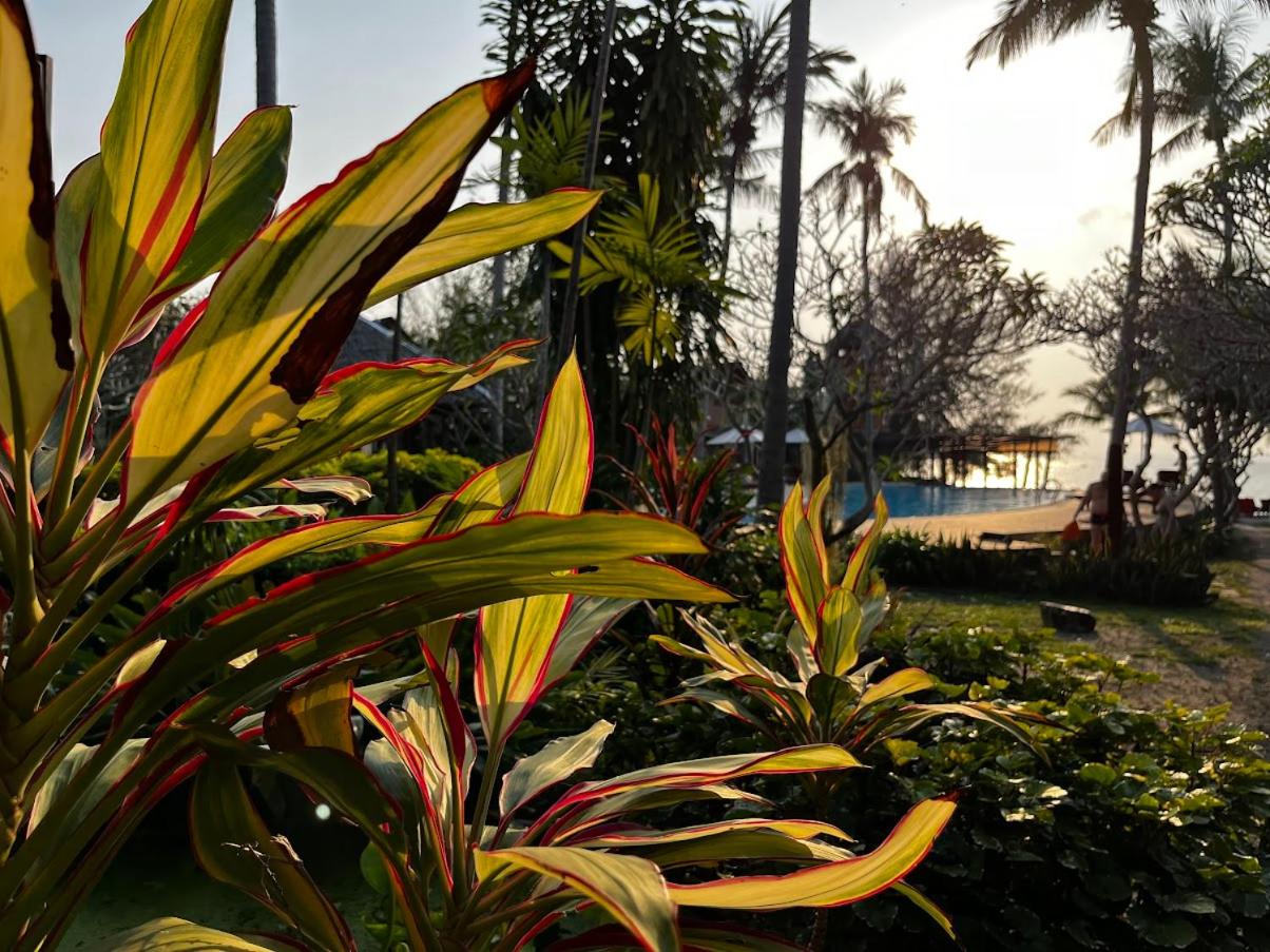 Green Papaya Beach Resort, Koh Phangan