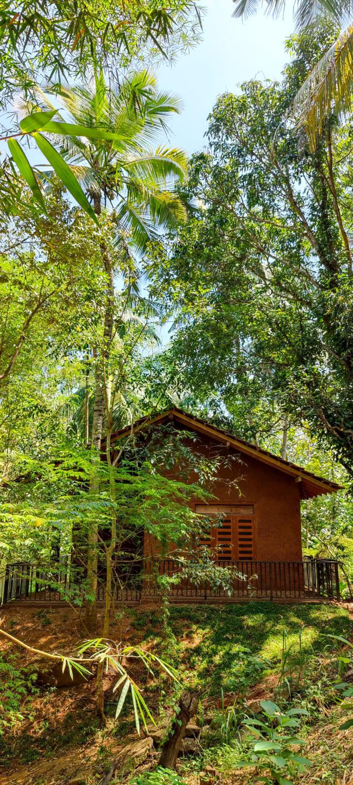 Walawa Dreams Safari Resort view 3