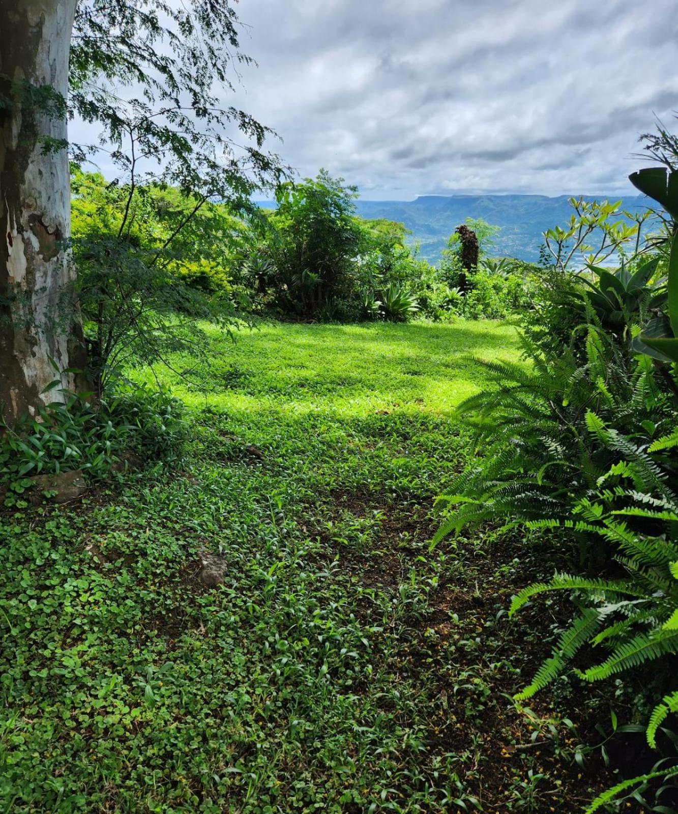 Mountain Rest