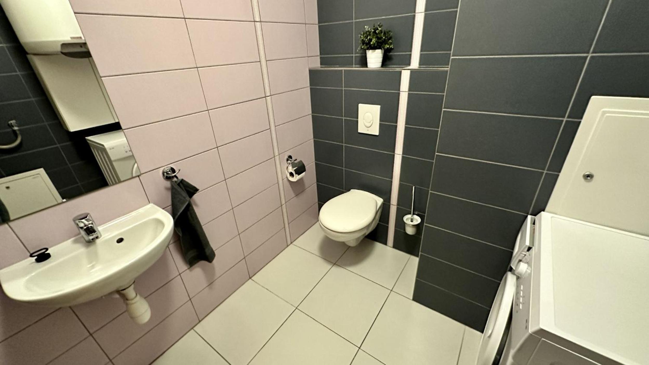 Ubytování Třeboň - apartmány Rožmberk, Svět a Baštýř