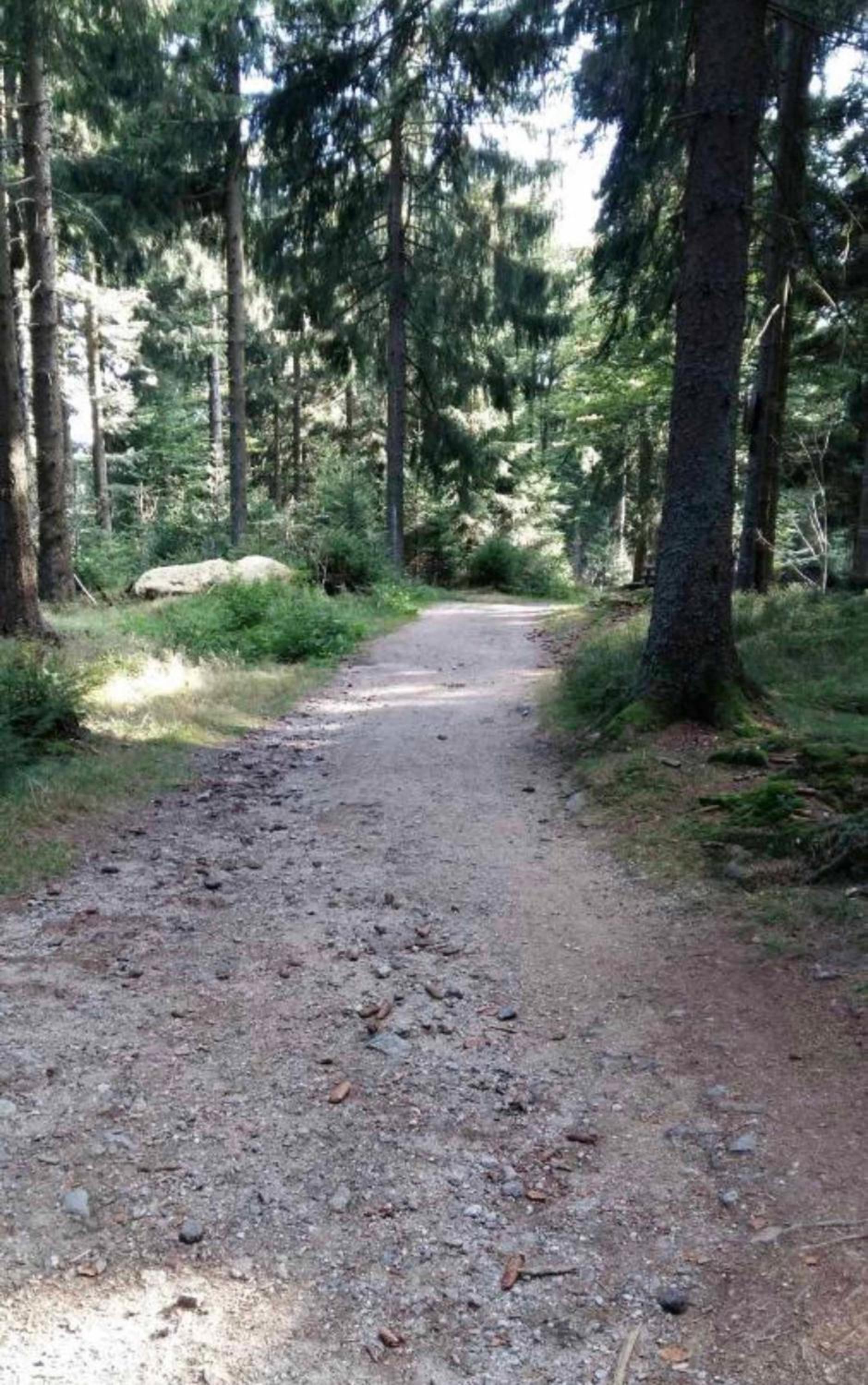 Bergerlebnis Natur pur