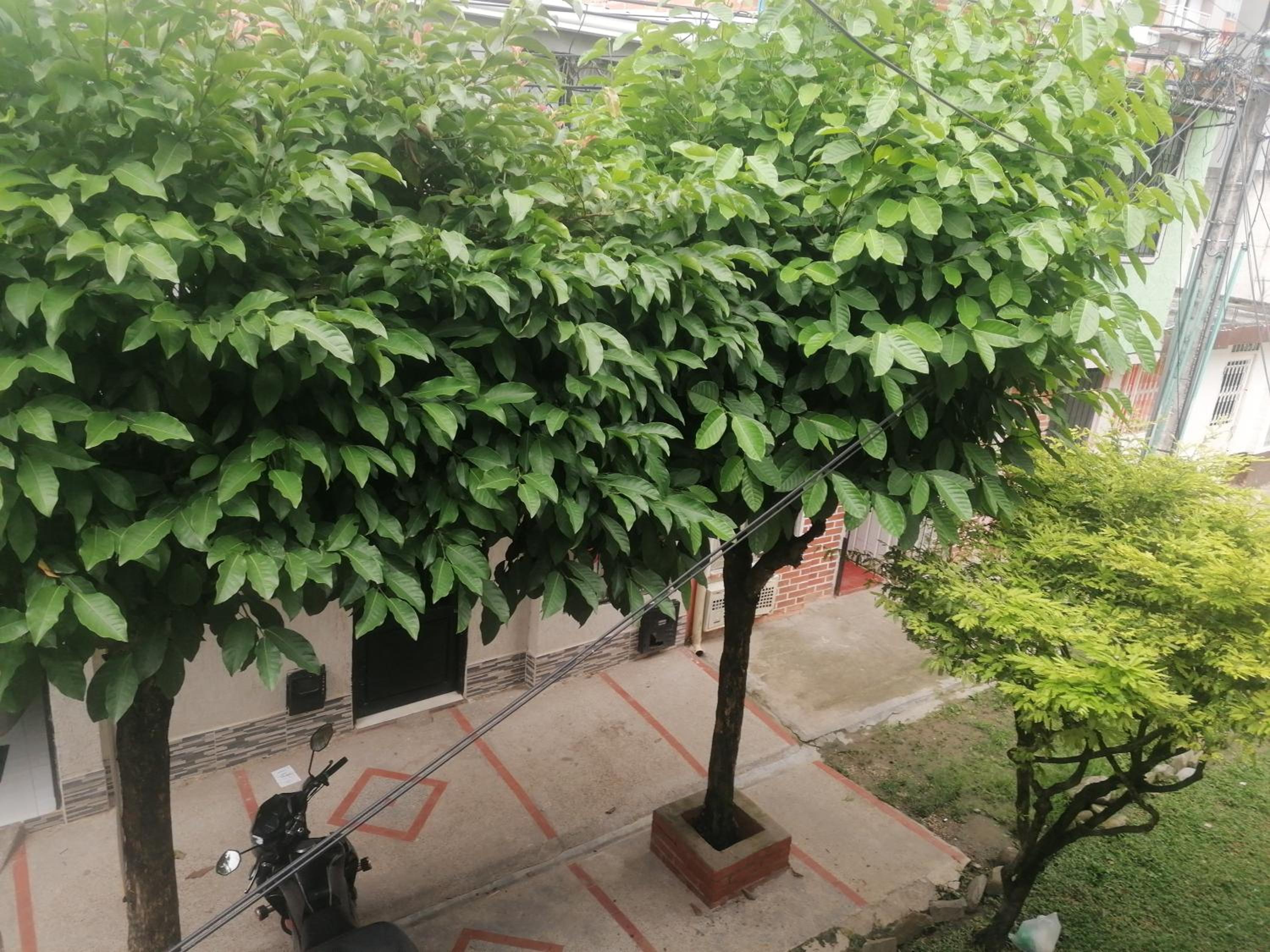 Bienvenido a tu segundo hogar a dos cuadras del centro recreaciónal lagos club comfatolima