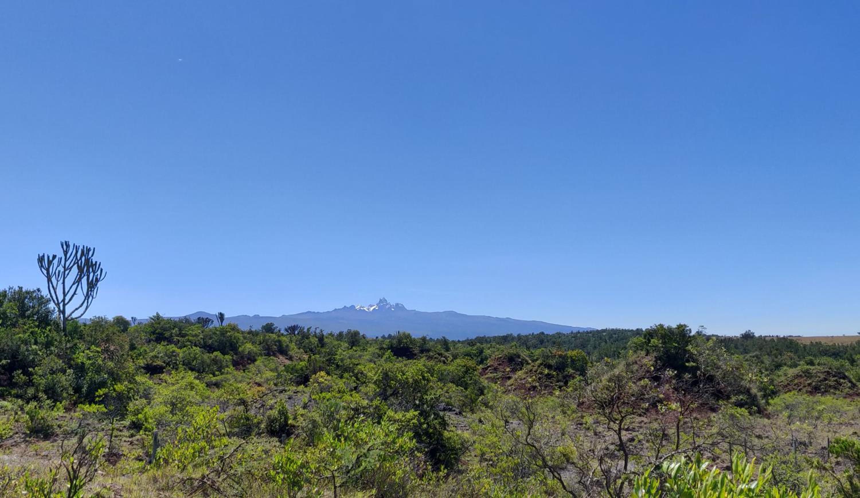 Eluwai House view 2
