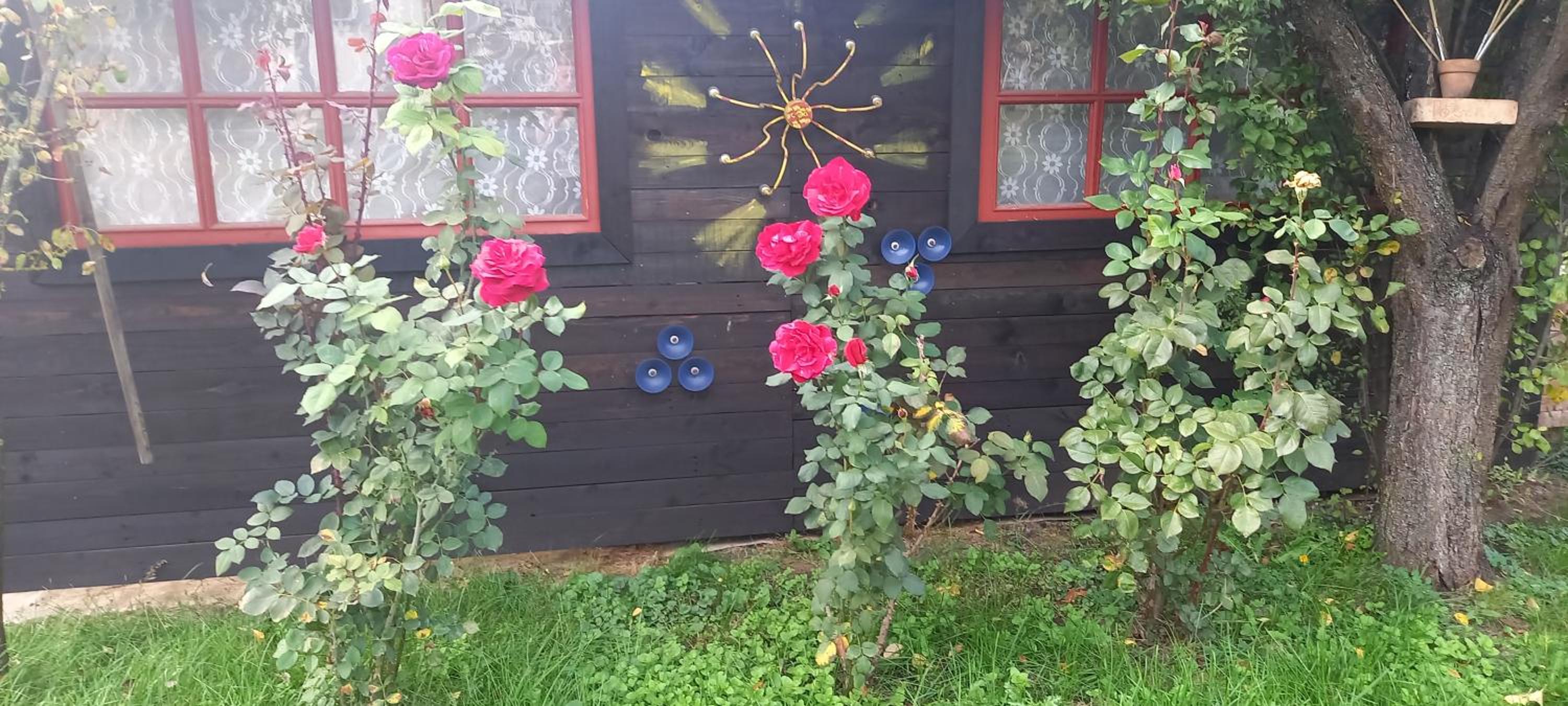 Photo 33