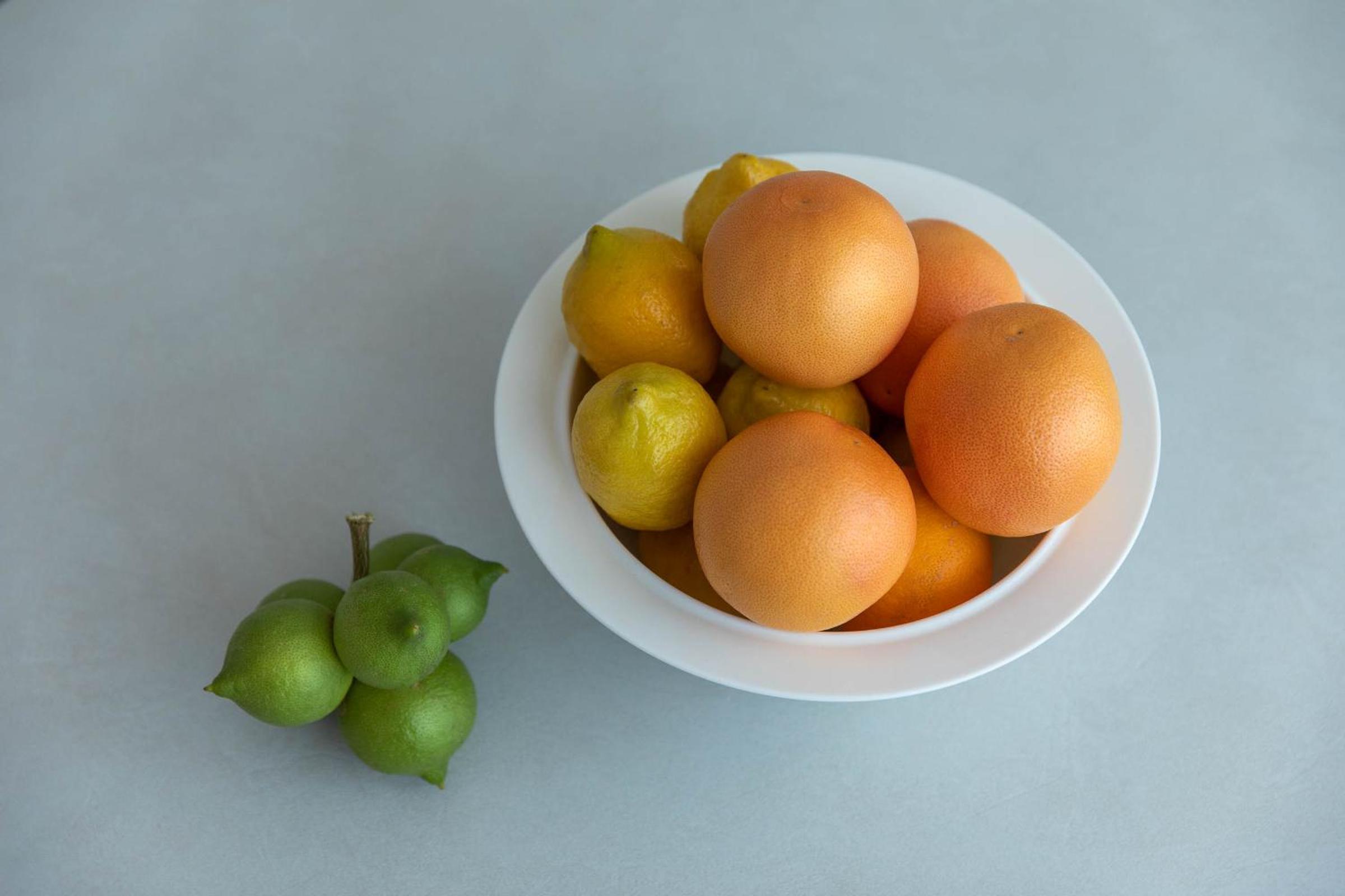 Palazzo Novecento