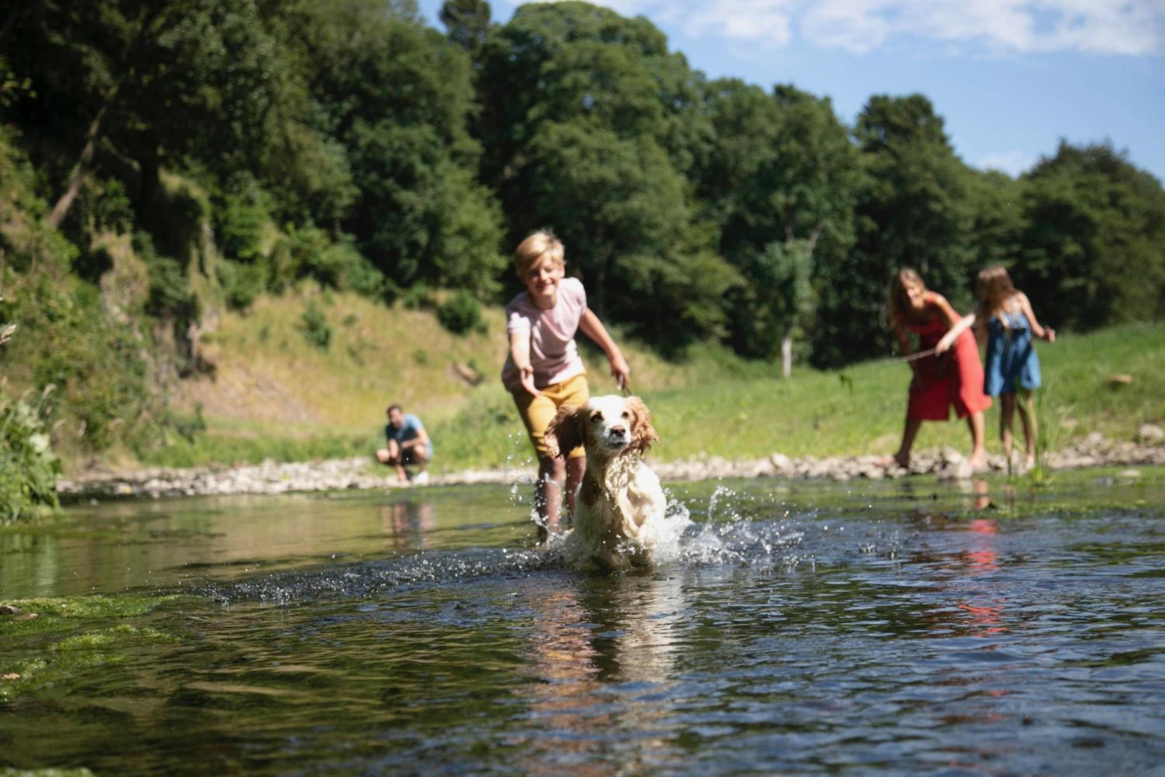 Ribblesdale Park