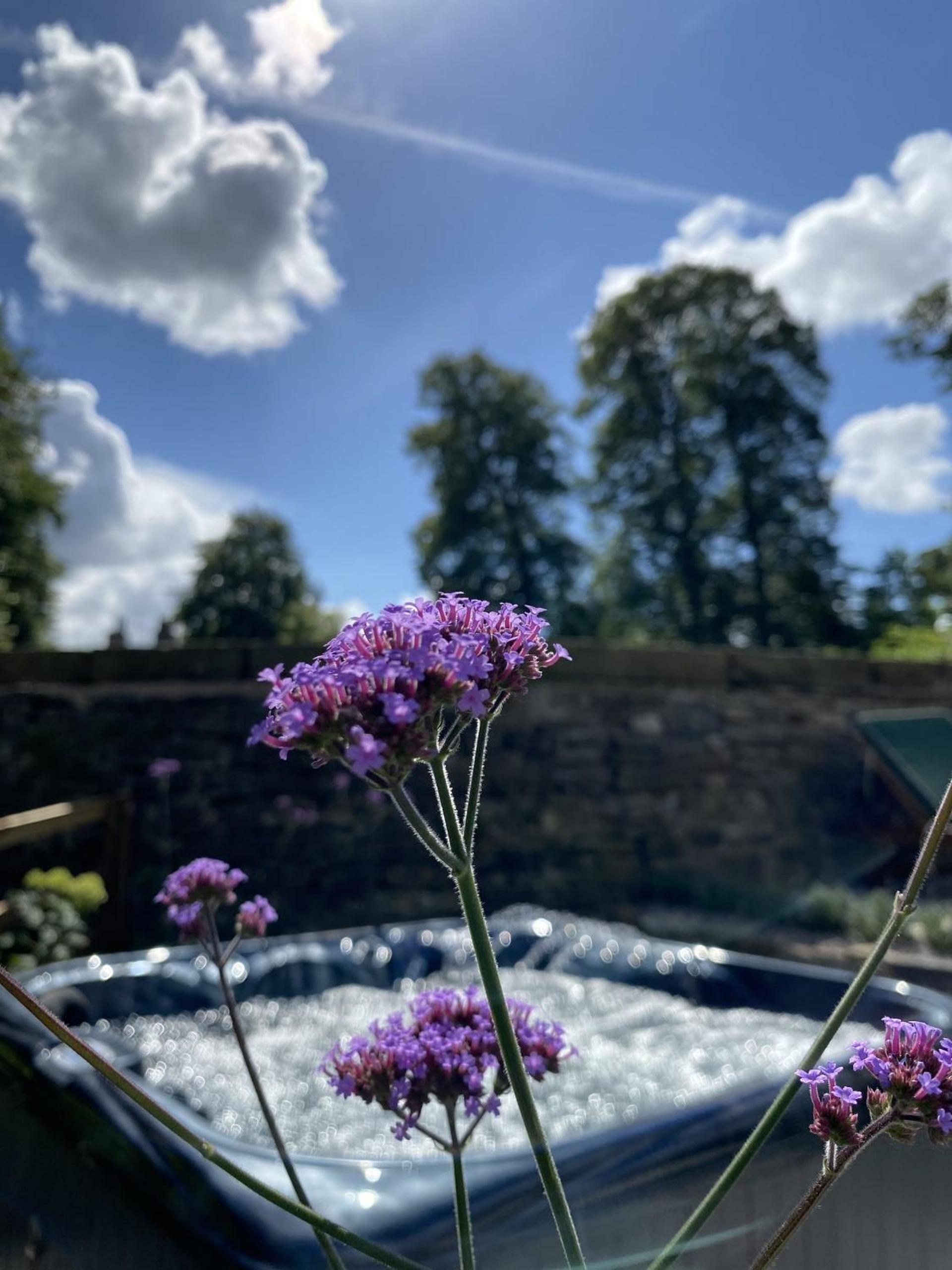 Ribblesdale Park