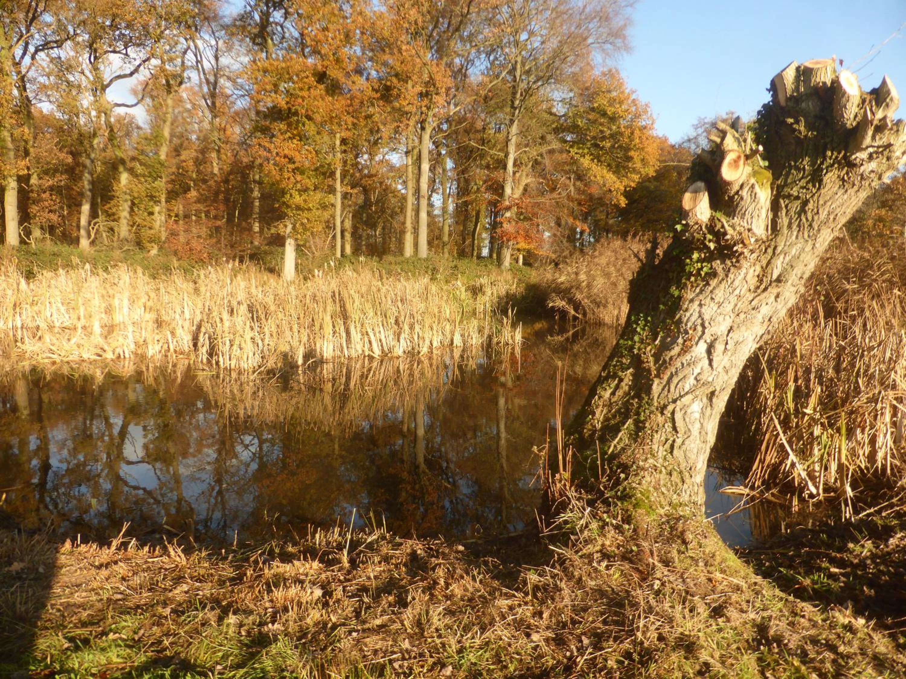 De Zevende Zon